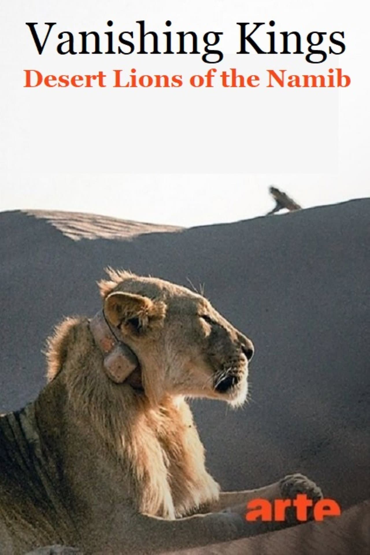 Vanishing Kings: Desert Lions of the Namib preview 2