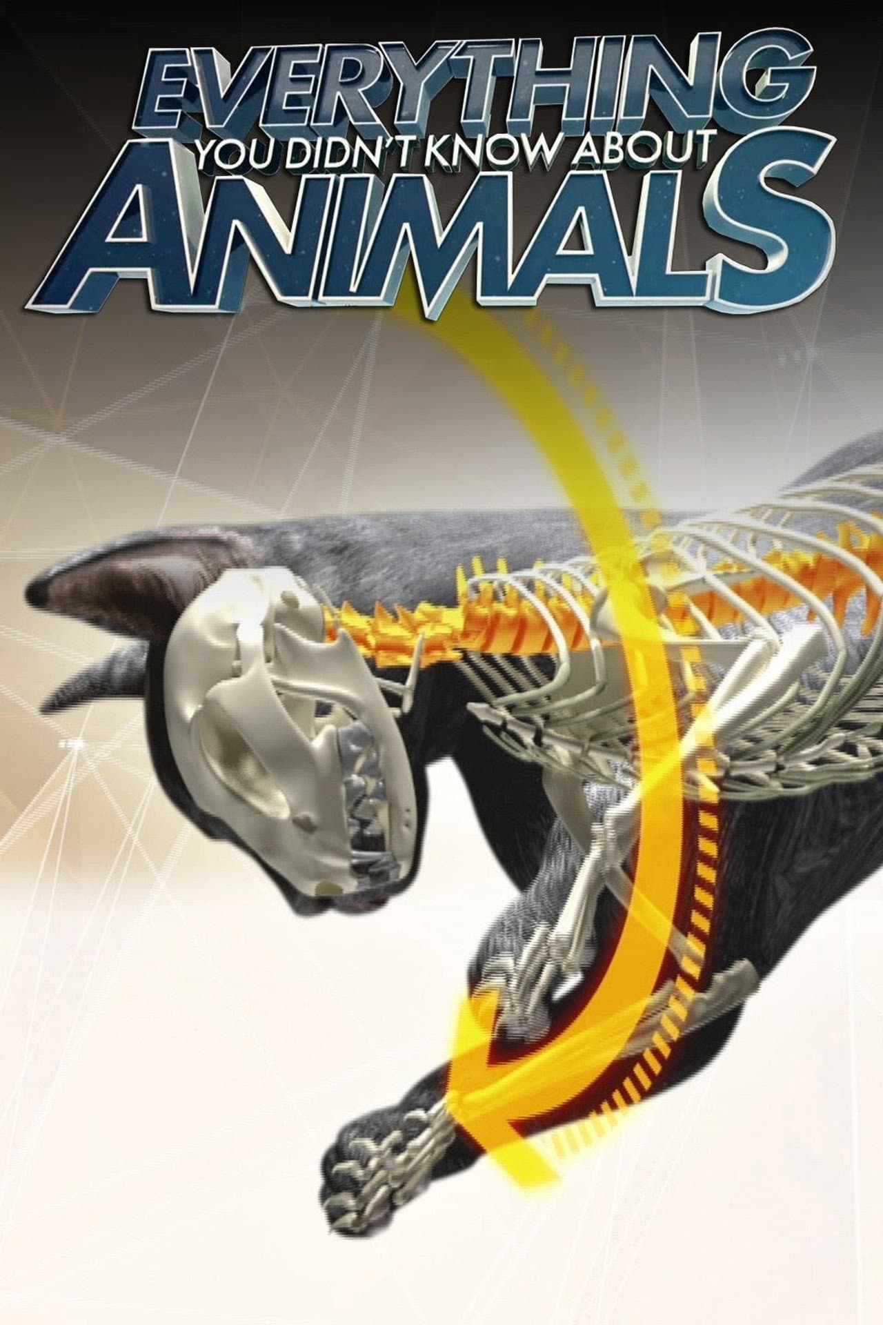 Everything You Didn't Know About Animals preview 1