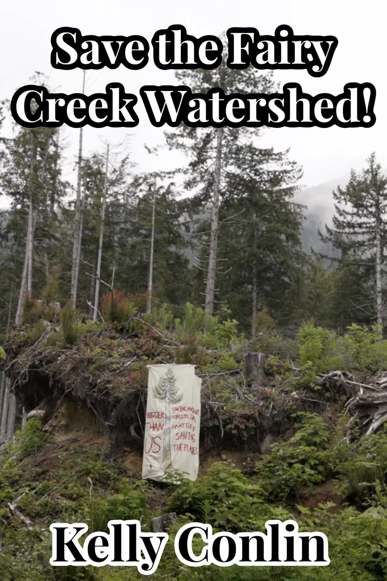 Save the Fairy Creek Watershed! preview 1
