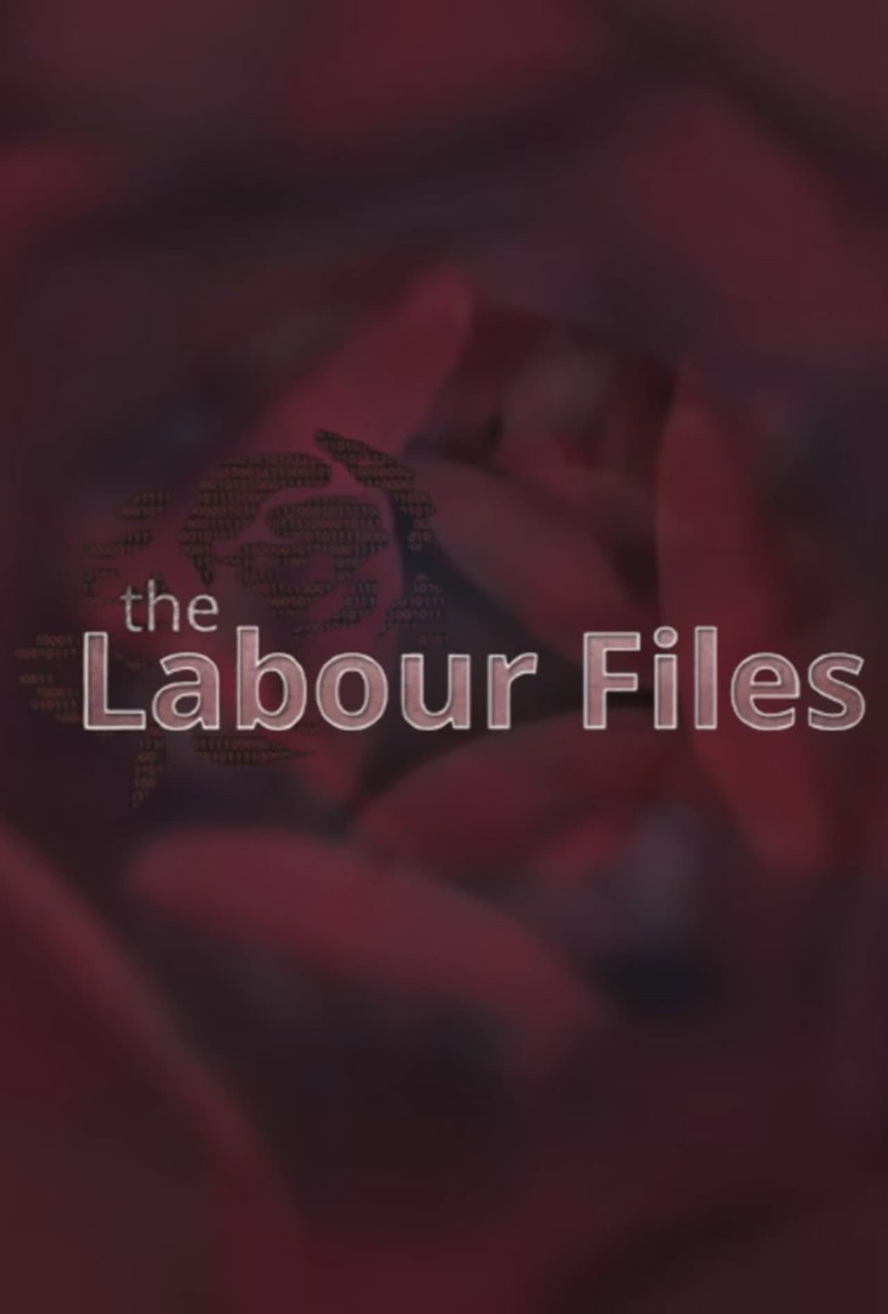 The Labour Files preview 2