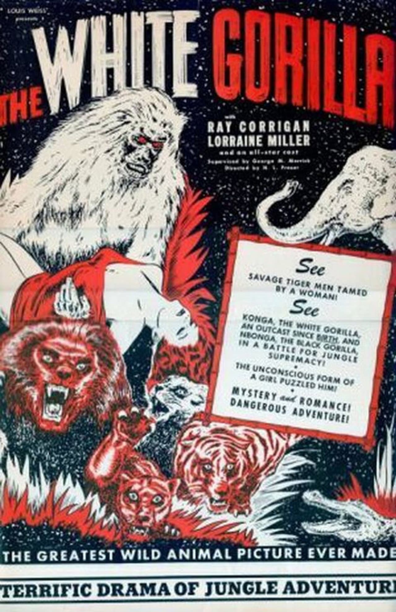 The White Gorilla preview 2