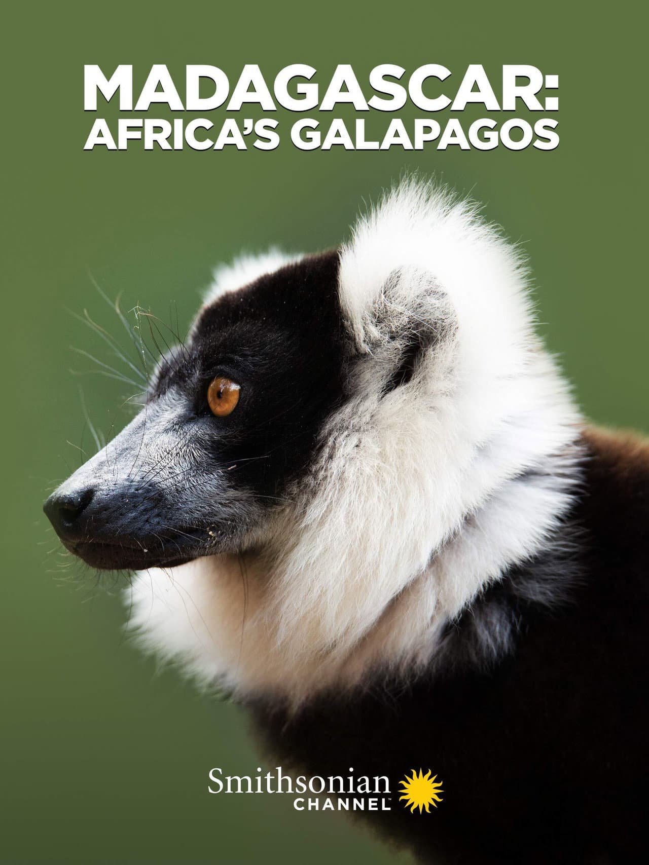 Madagascar: Africa's Galapagos preview 2