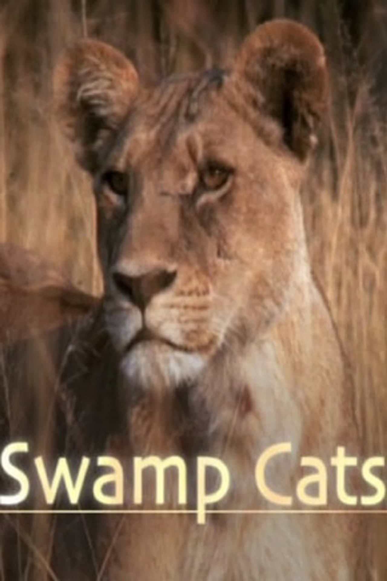 Swamp Cats preview 1