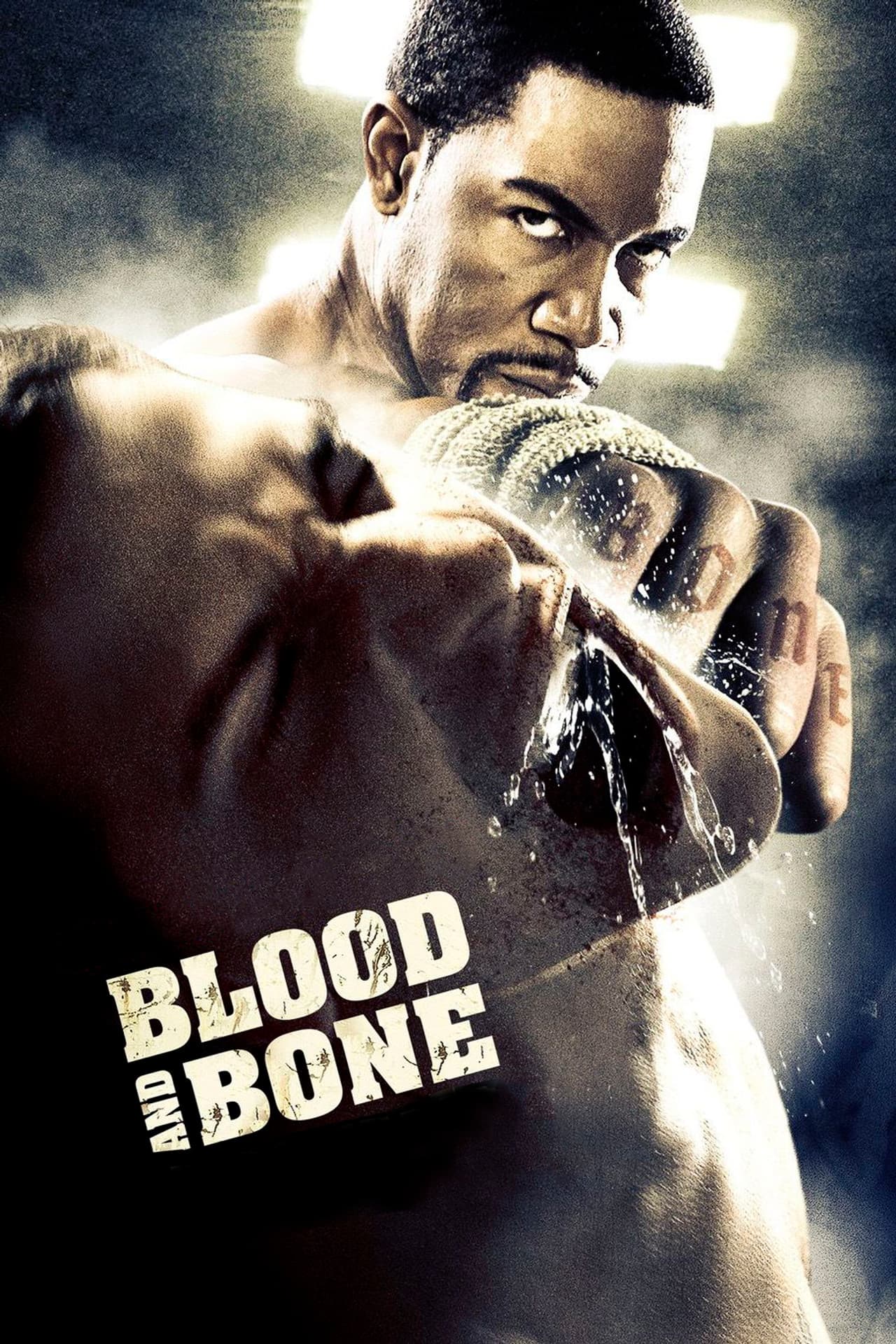 Blood and Bone preview 2