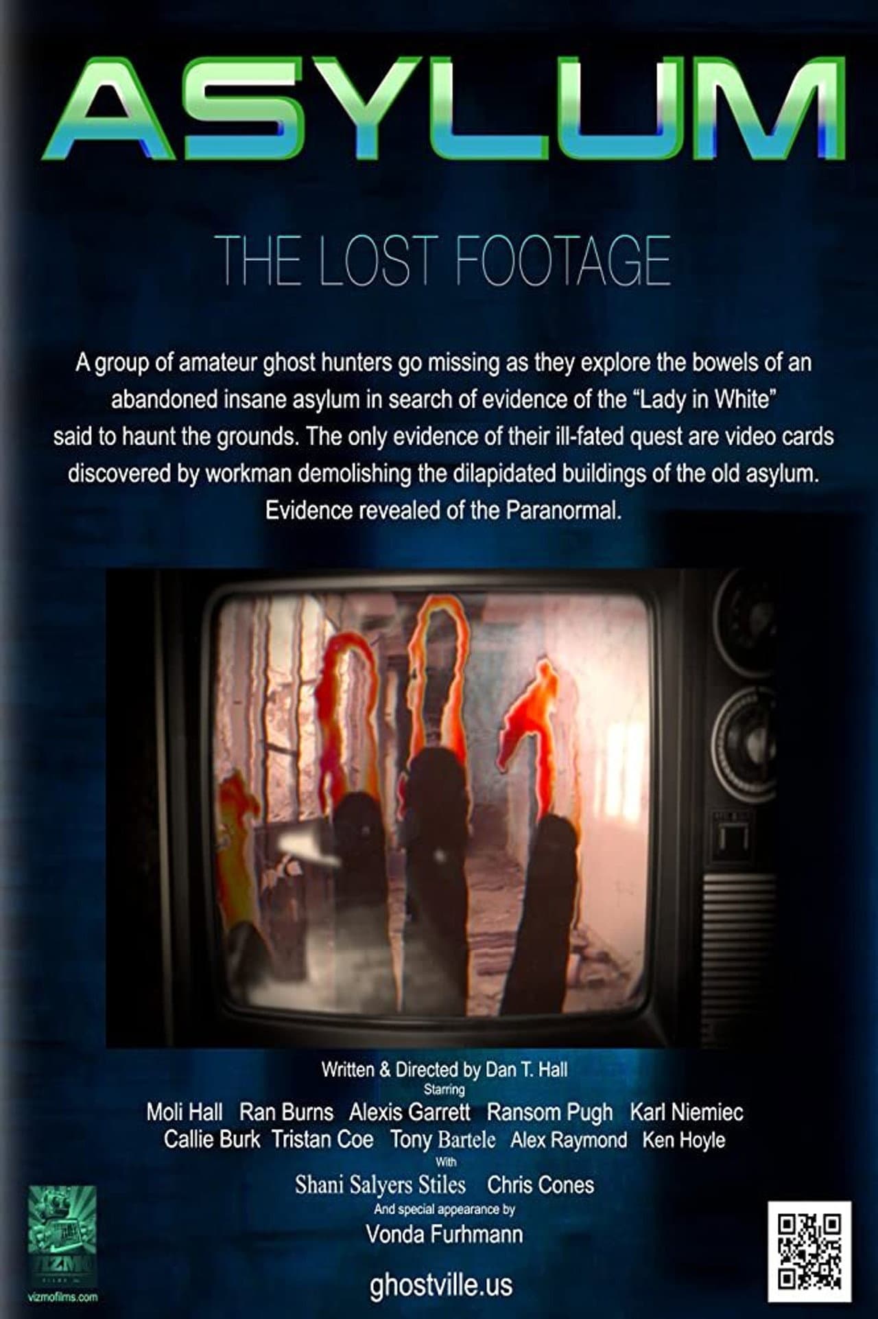 Asylum: the Lost Footage preview 1