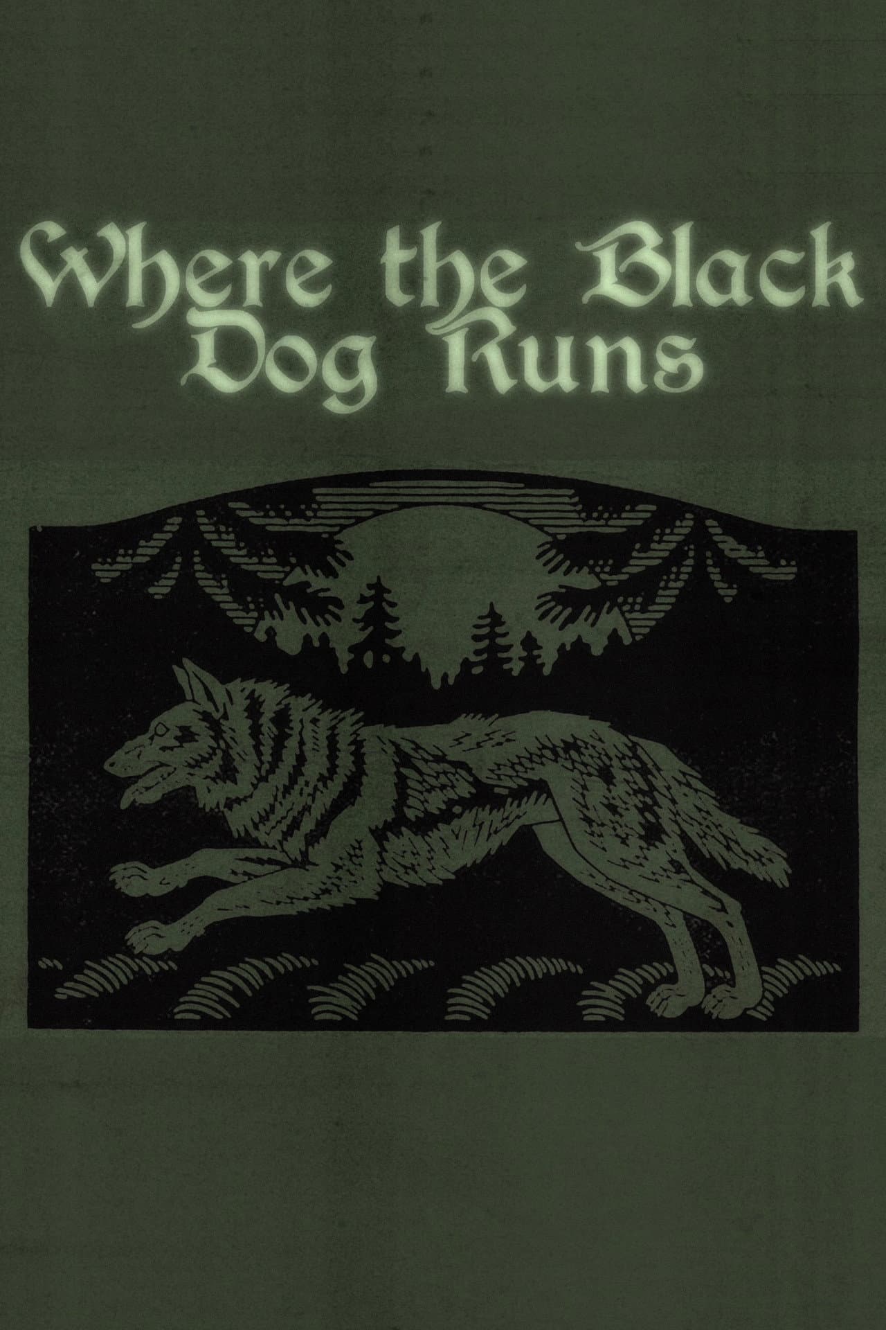 Where the Black Dog Runs preview 2