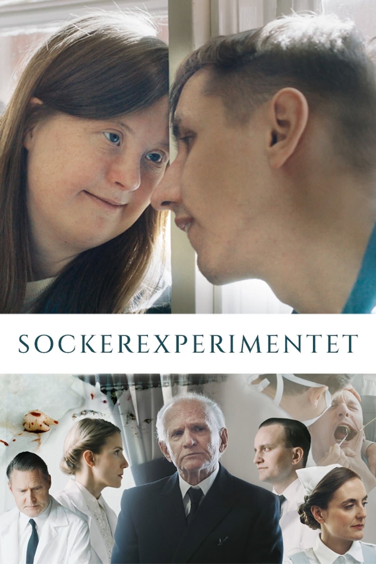 The Sugar Experiment preview 2