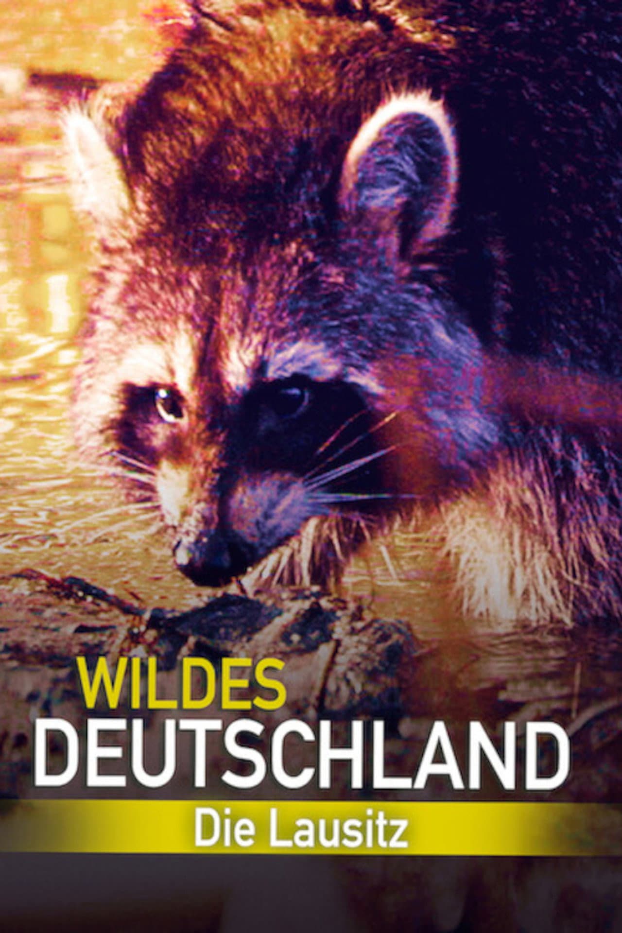 Wild Germany: Exploring Lusatia preview 2