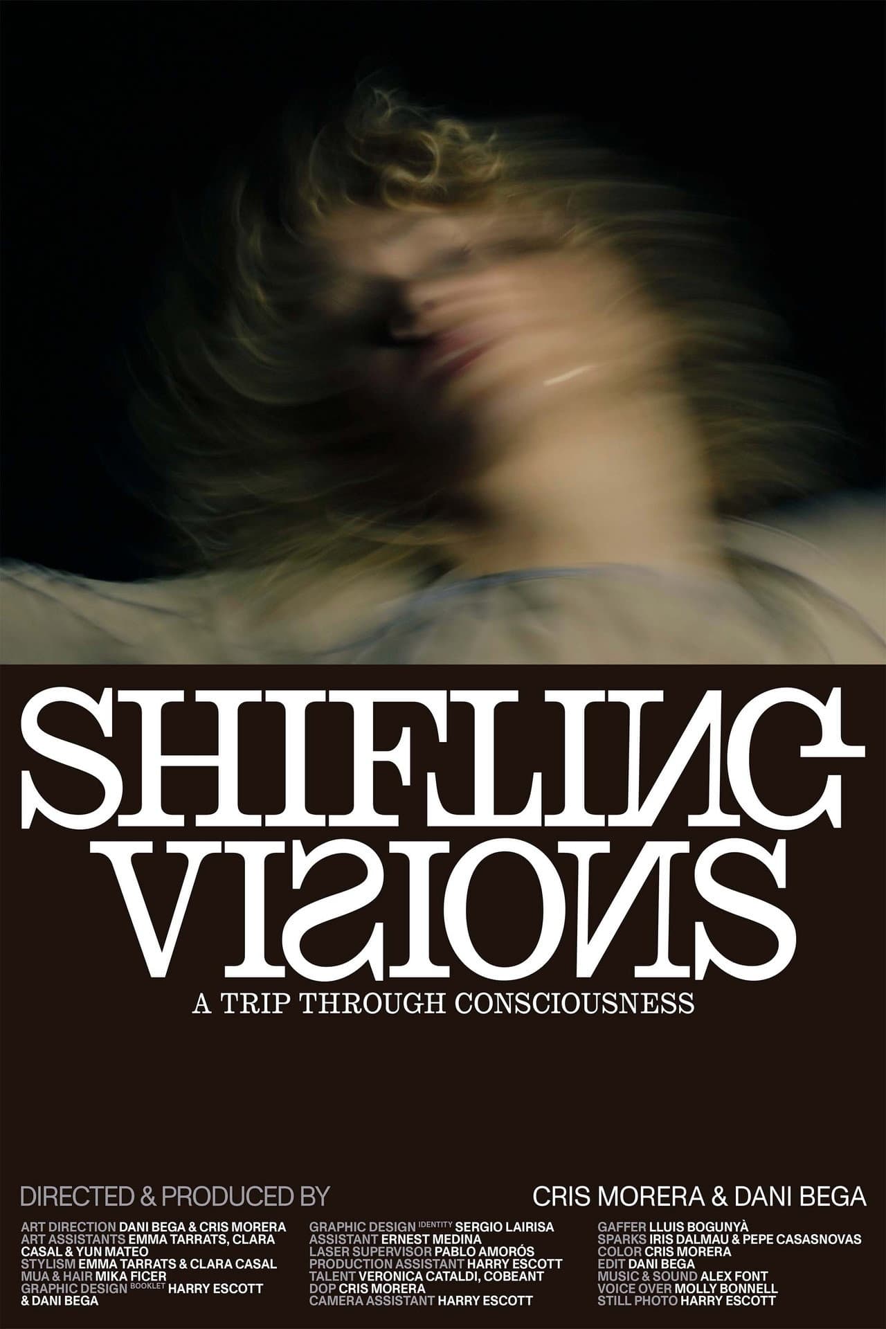 SHIFTING VISIONS preview 2