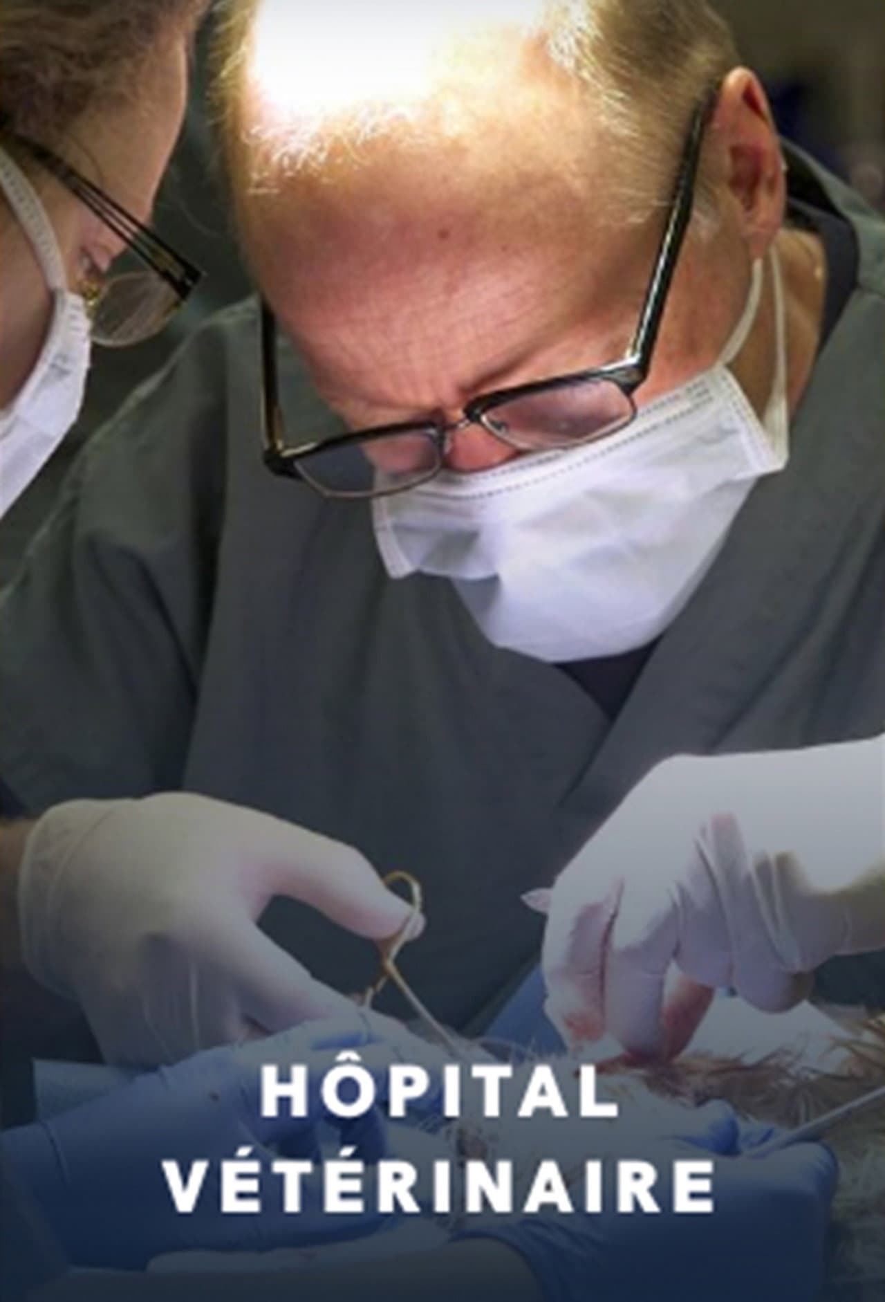 Hôpital vétérinaire preview 2
