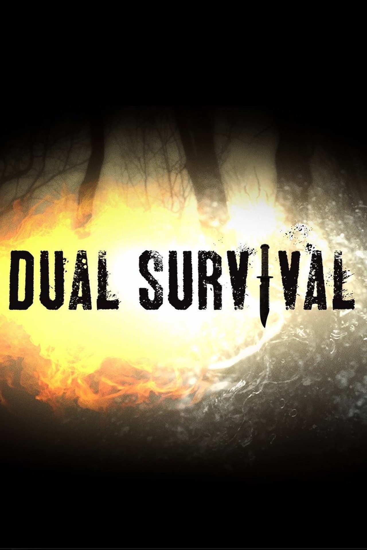 Season 8
