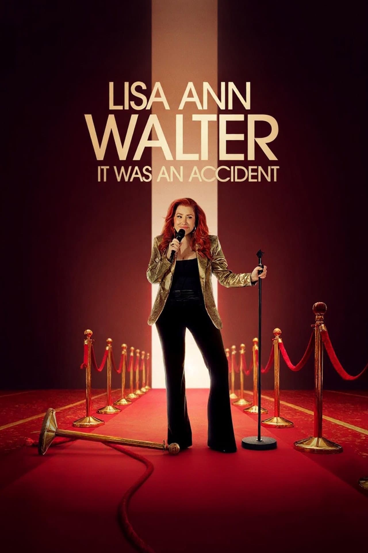 Lisa Ann Walter: It Was an Accident preview 2