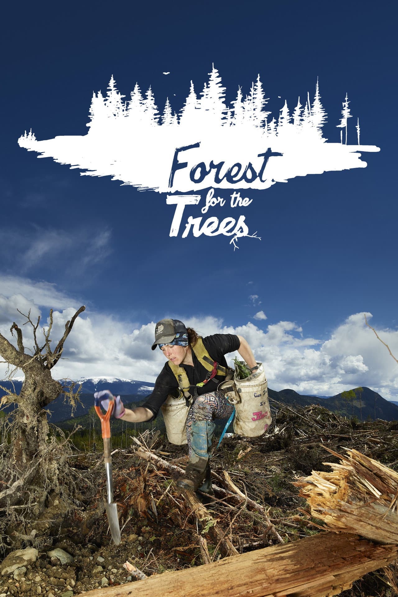 Forest for the Trees preview 1