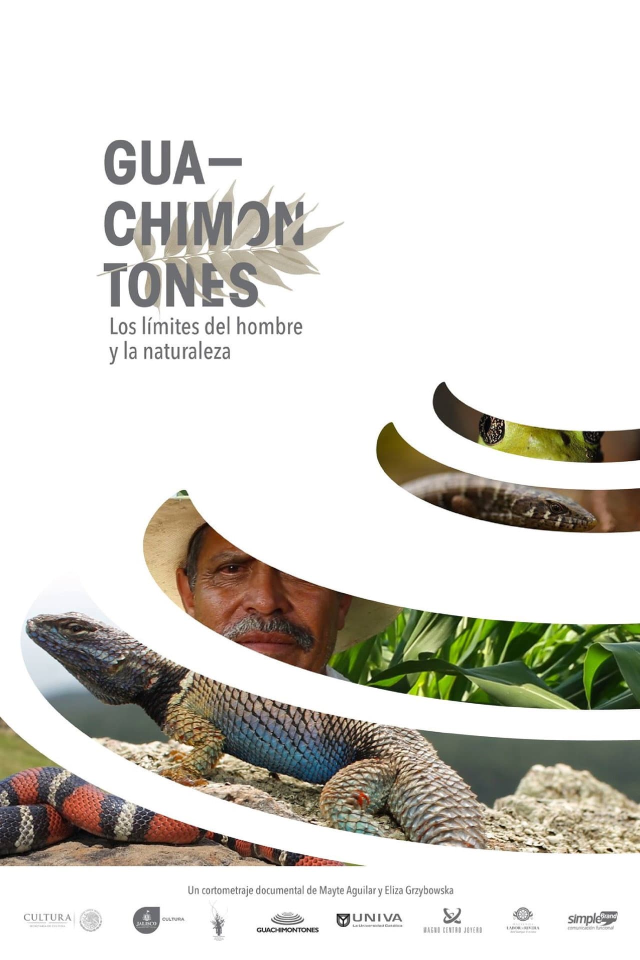 Guachimontones, los límites del hombre y la naturaleza. preview 1
