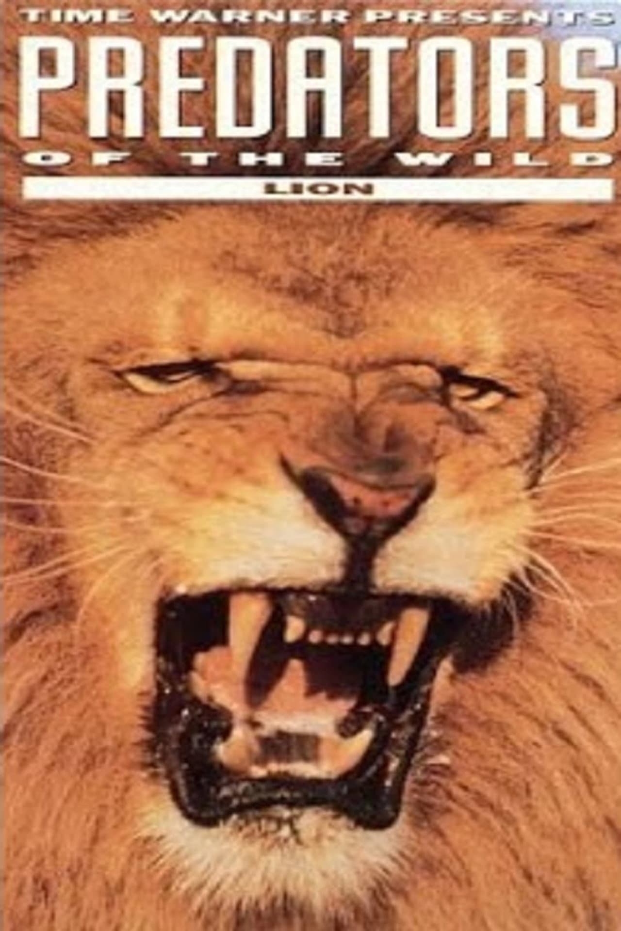 Predators of the Wild: Lion preview 2