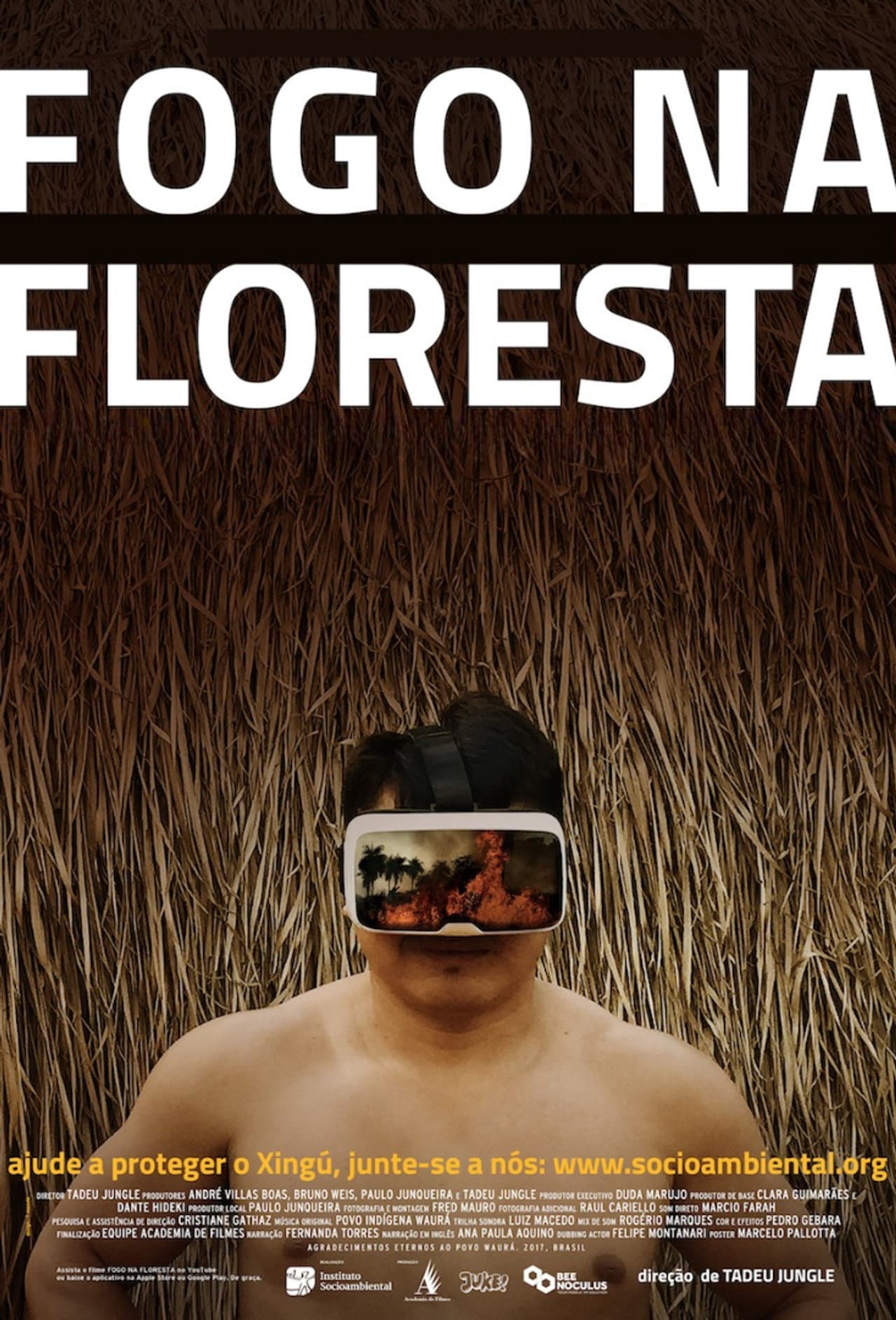 Fire in the Forest preview 2