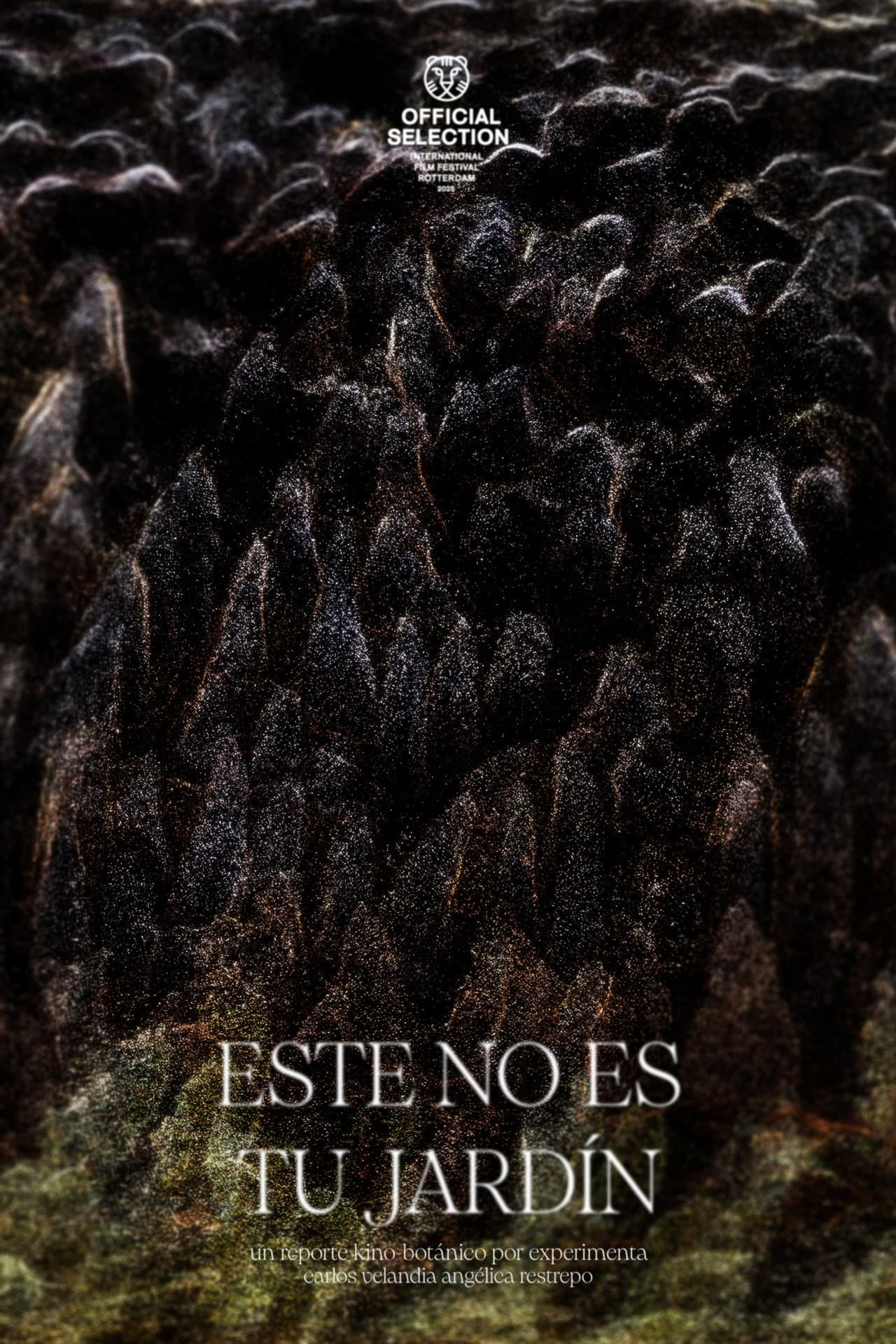 This Is Not Your Garden preview 2