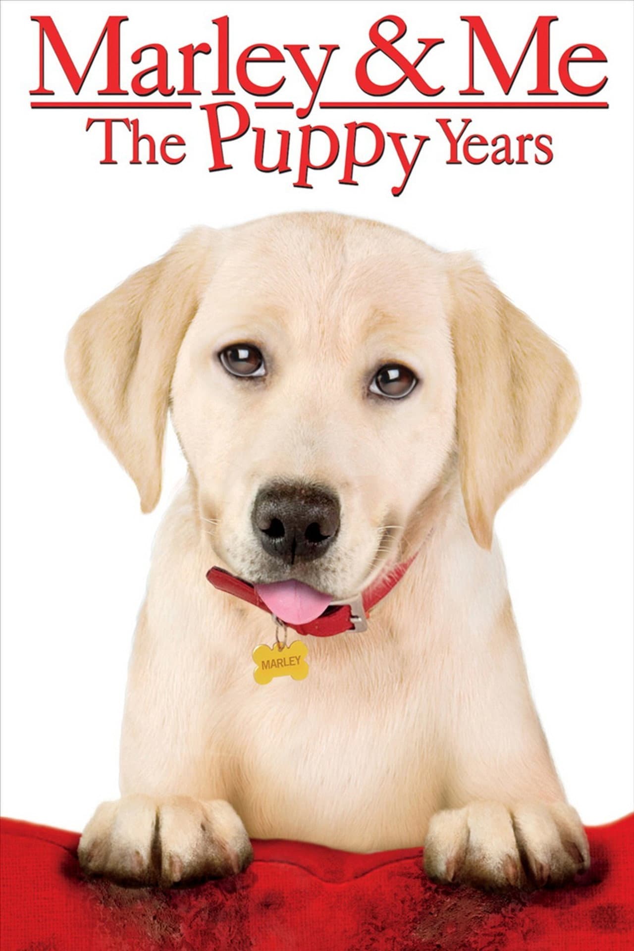 Marley & Me: The Puppy Years preview 2