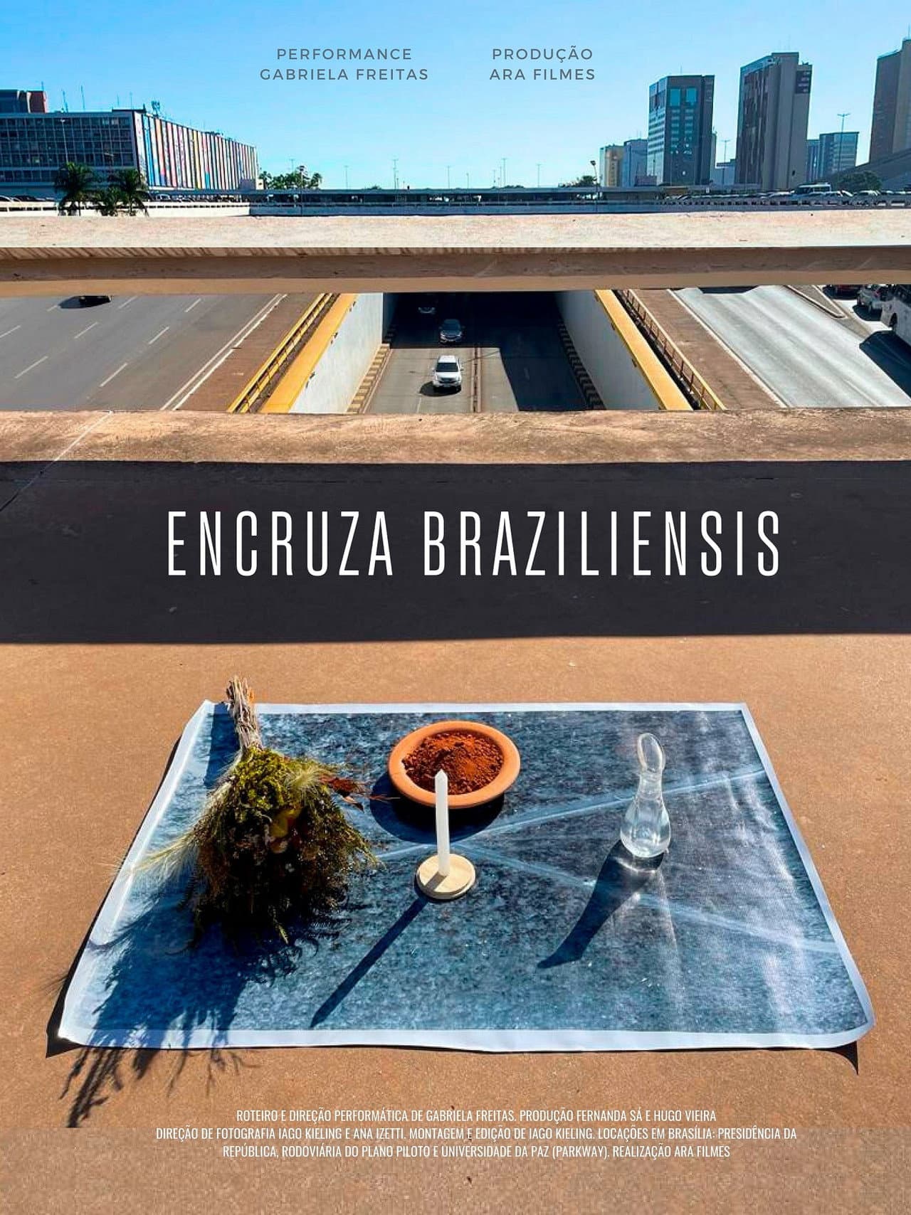 Encruza Braziliensis preview 1