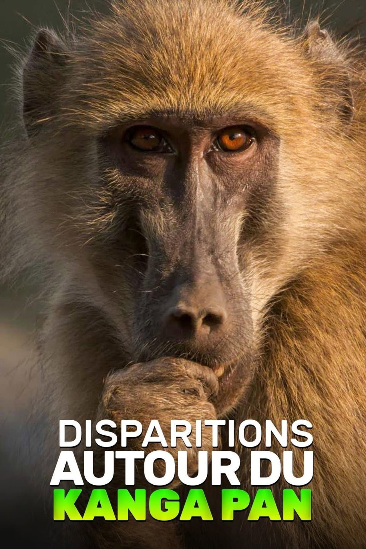 Disparitions autour du Kanga Pan preview 2