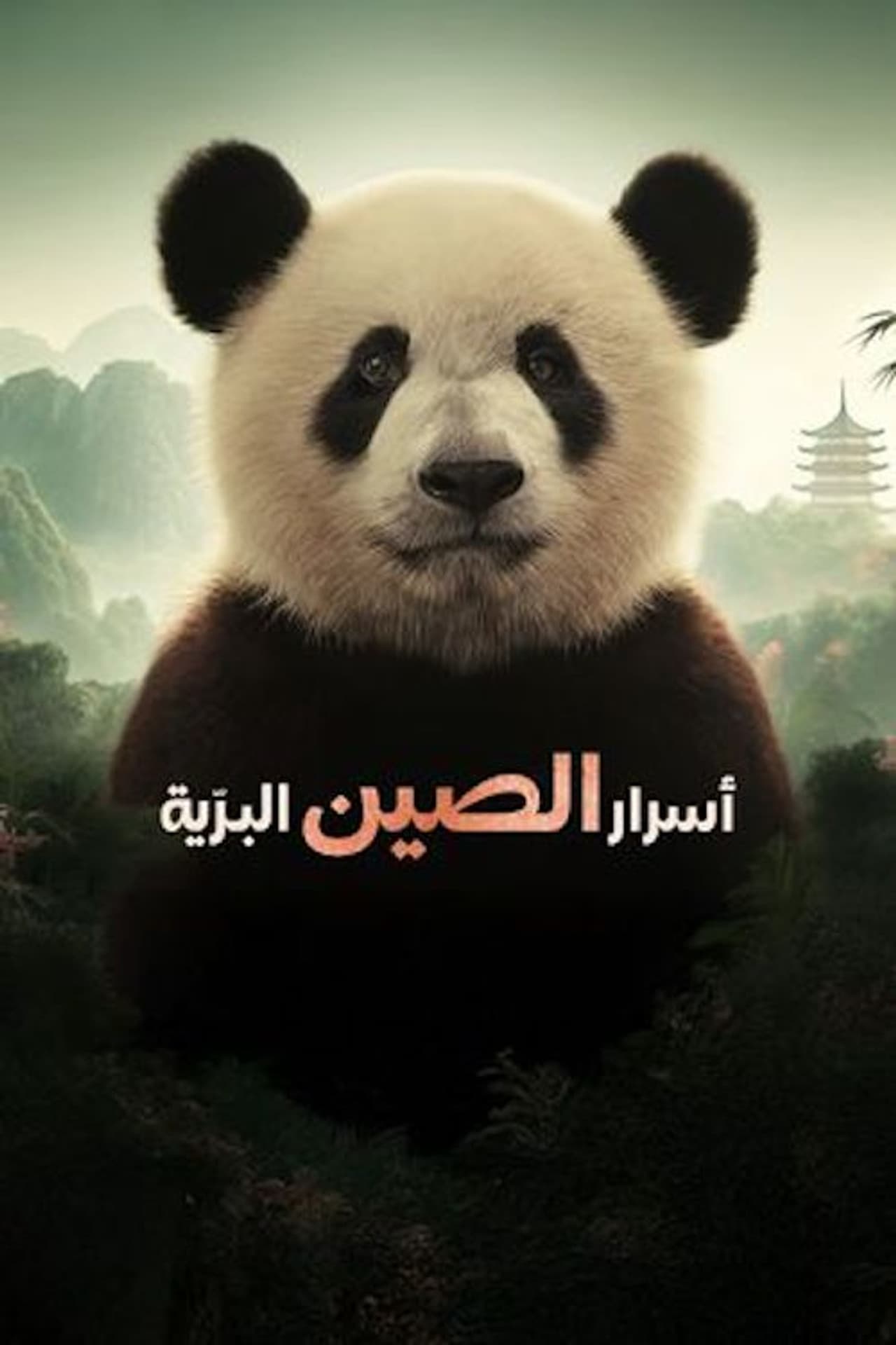 China's Wild Secrets preview 2