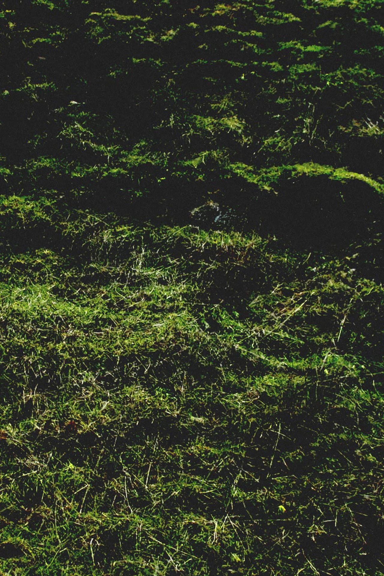 Untitled / Aubrac preview 1
