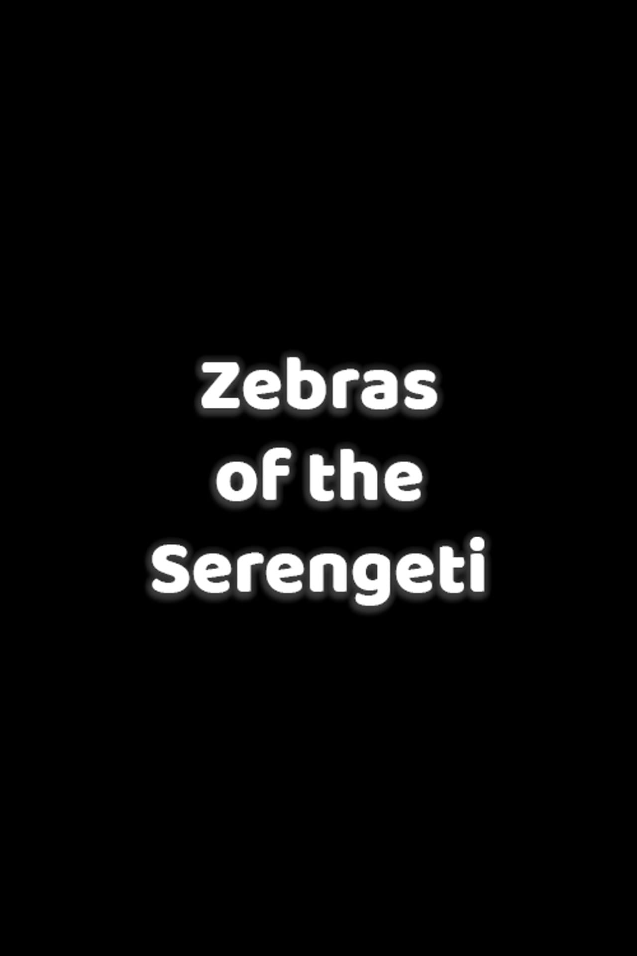 Zebras of the Serengeti preview 2