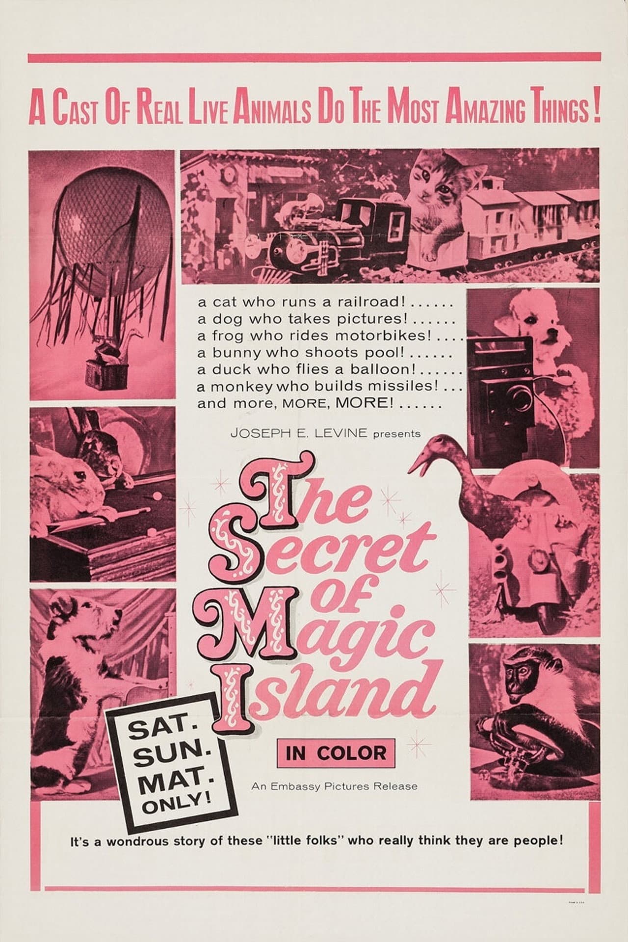 The Secret of Magic Island preview 2