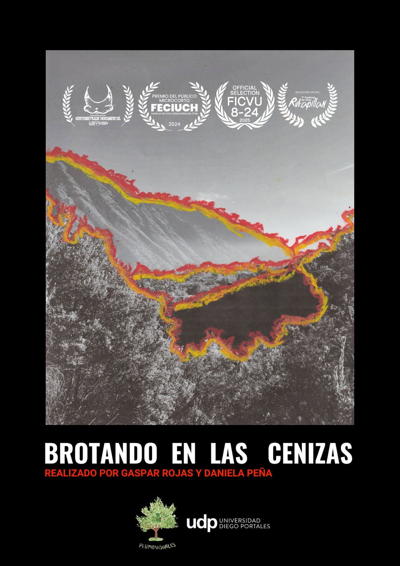 Brotando en las cenizas preview 2