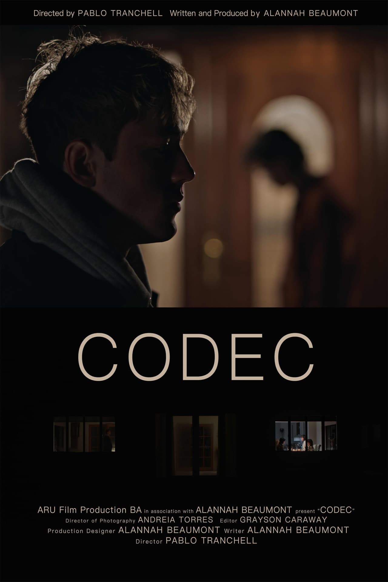 CODEC preview 2
