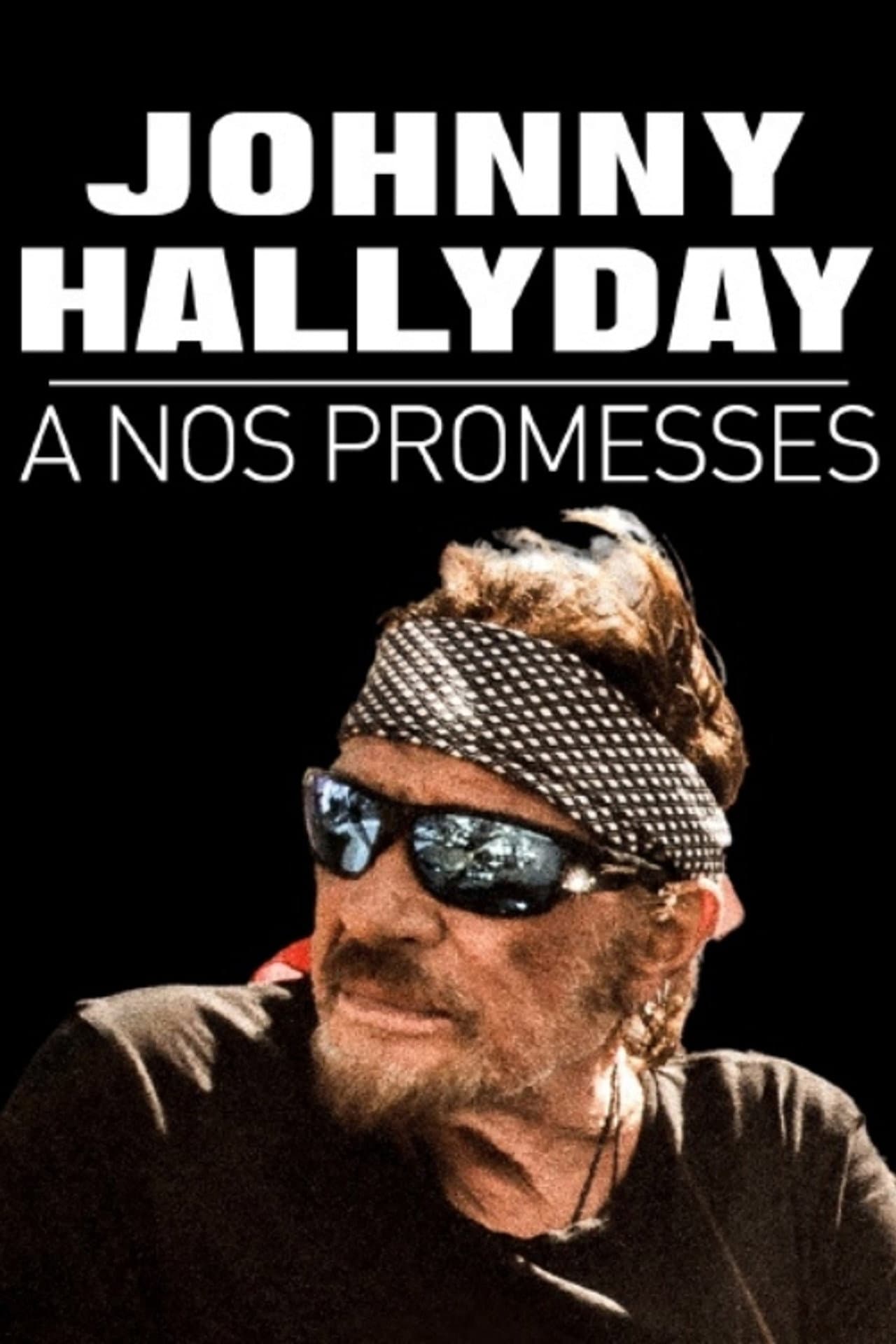 Johnny Hallyday, à nos promesses preview 2
