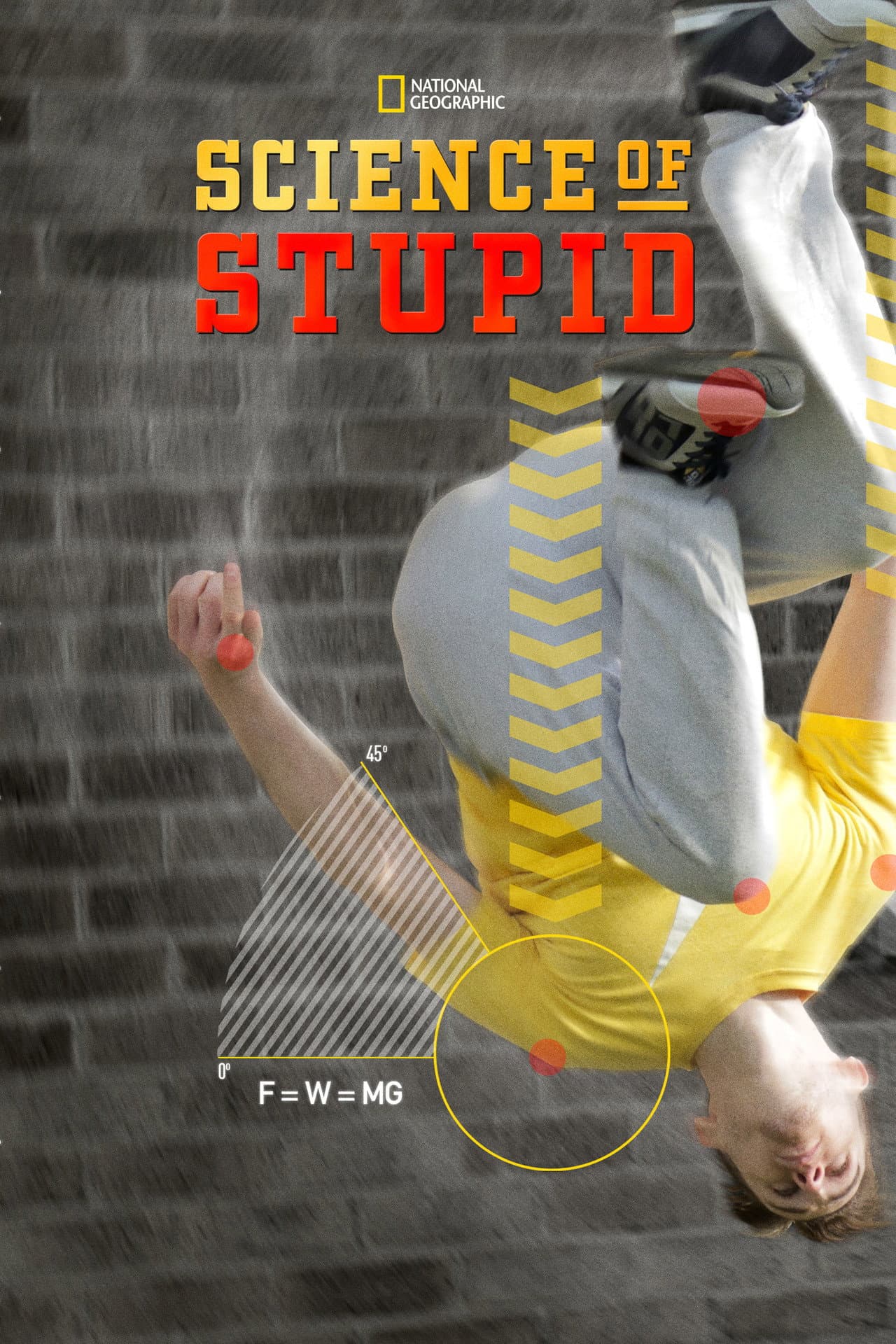 Science of Stupid preview 2