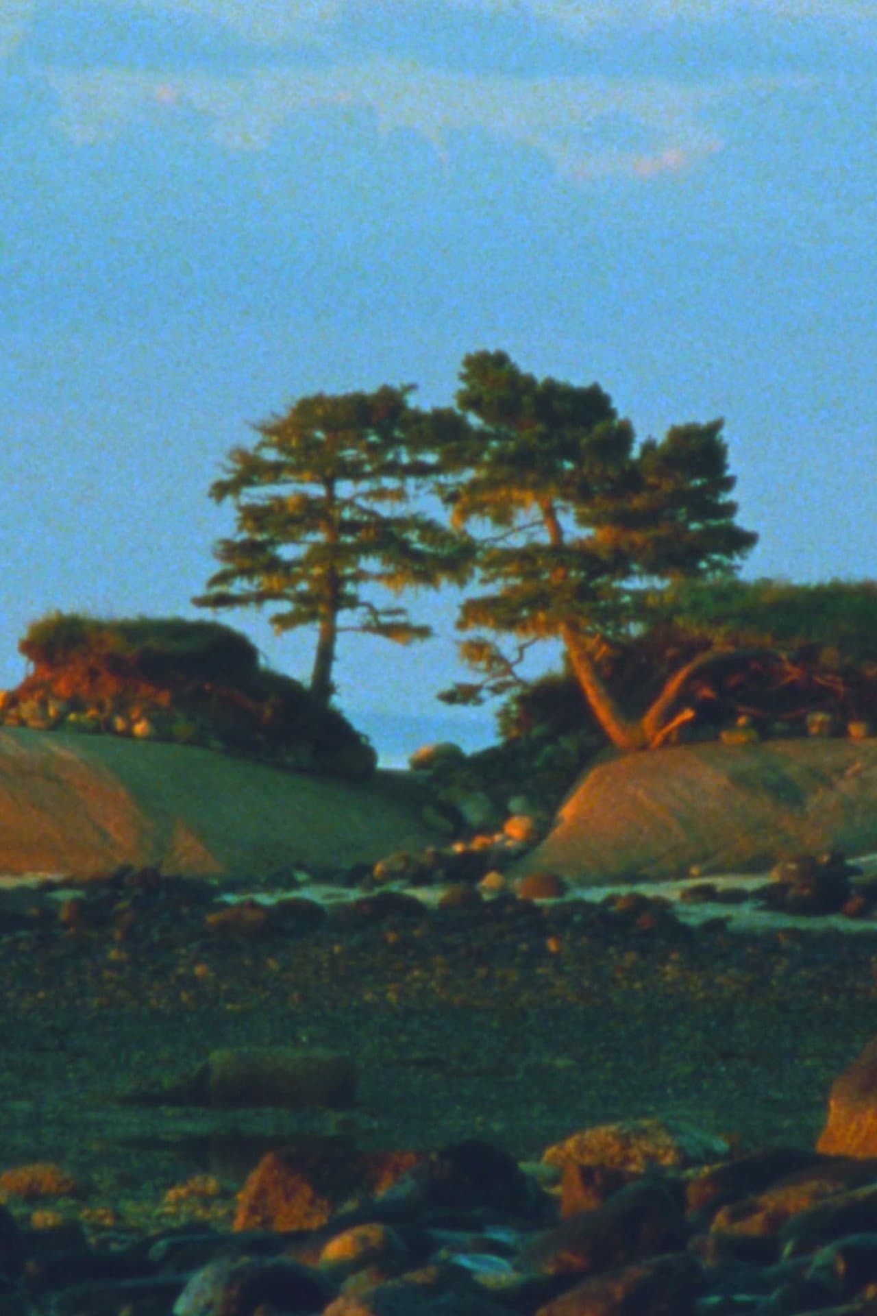 Two Trees preview 2