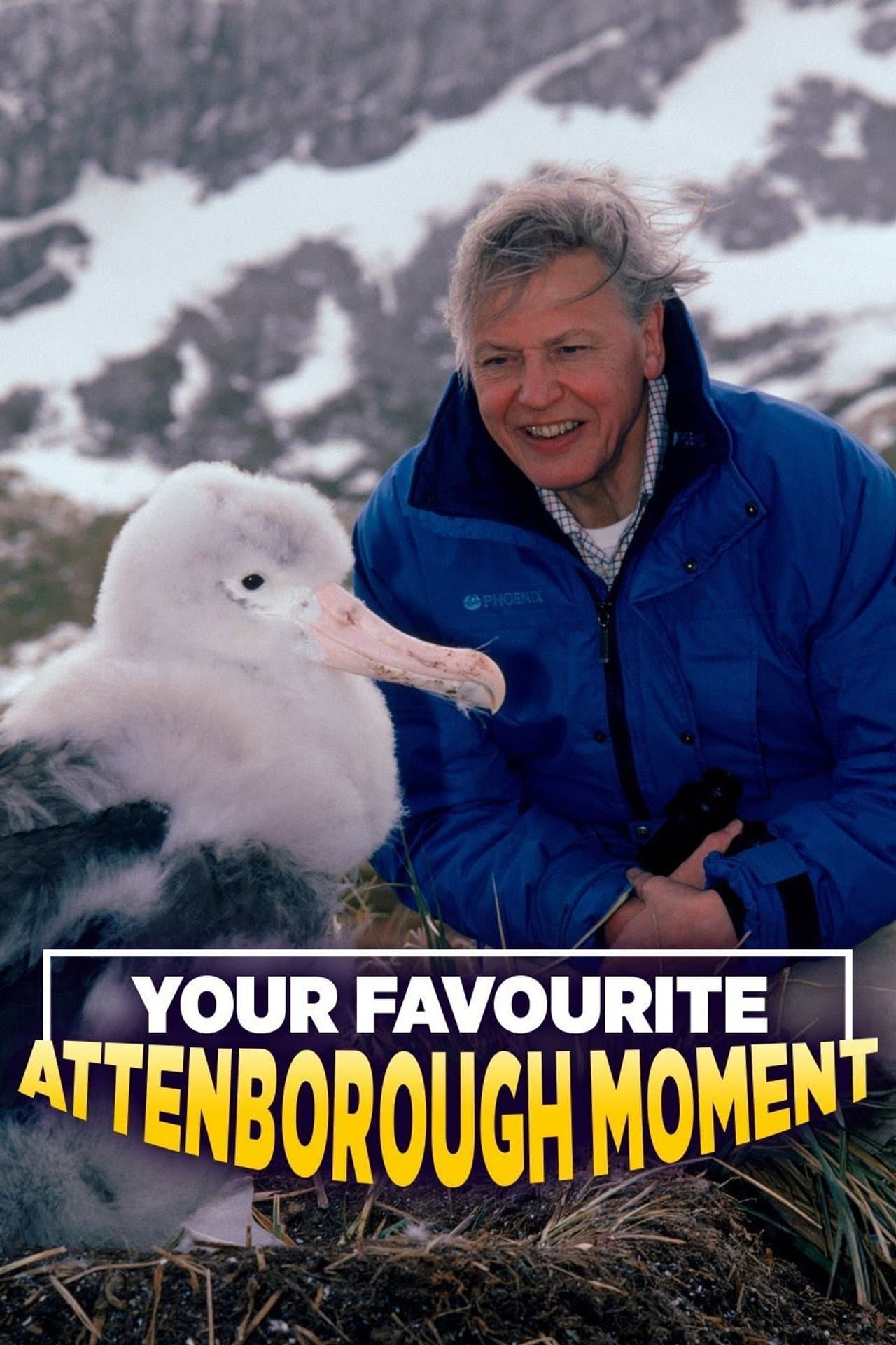 Your Favourite Attenborough Moment preview 1