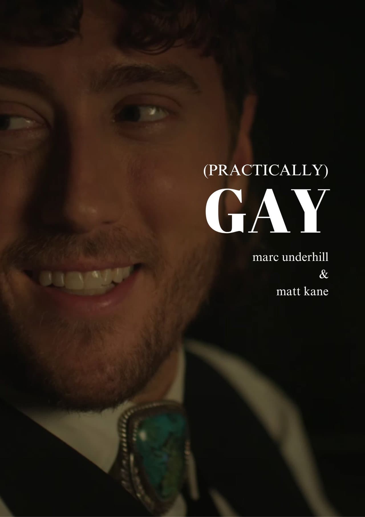 (Practically) Gay preview 2