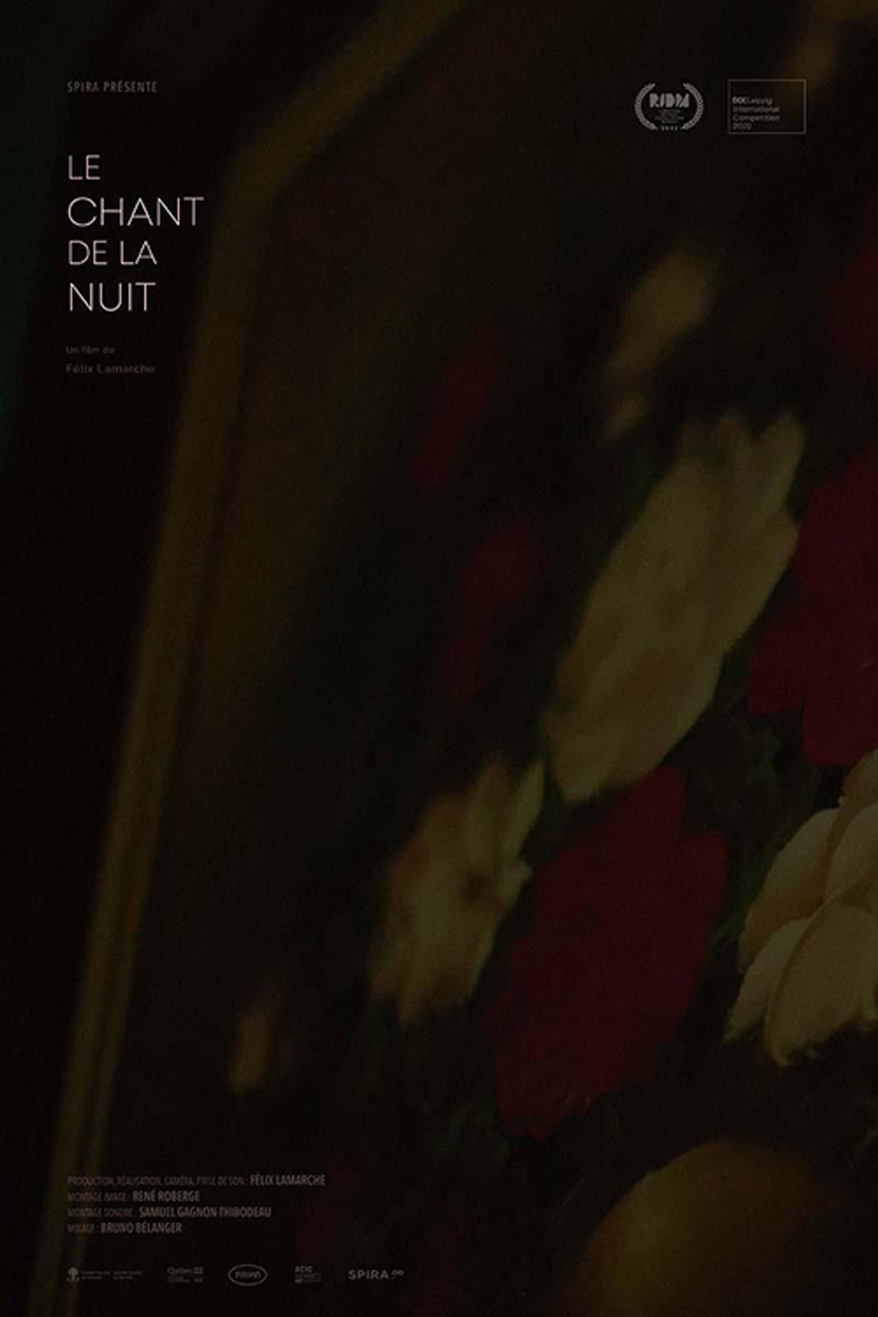 A Night Song preview 1