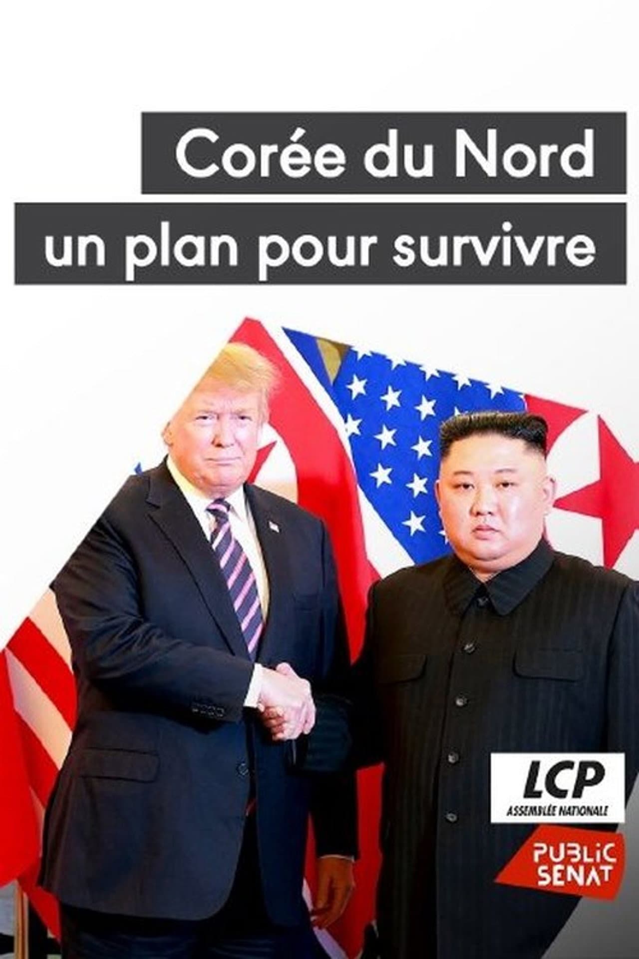 North Korea: A Plan to Survive preview 2