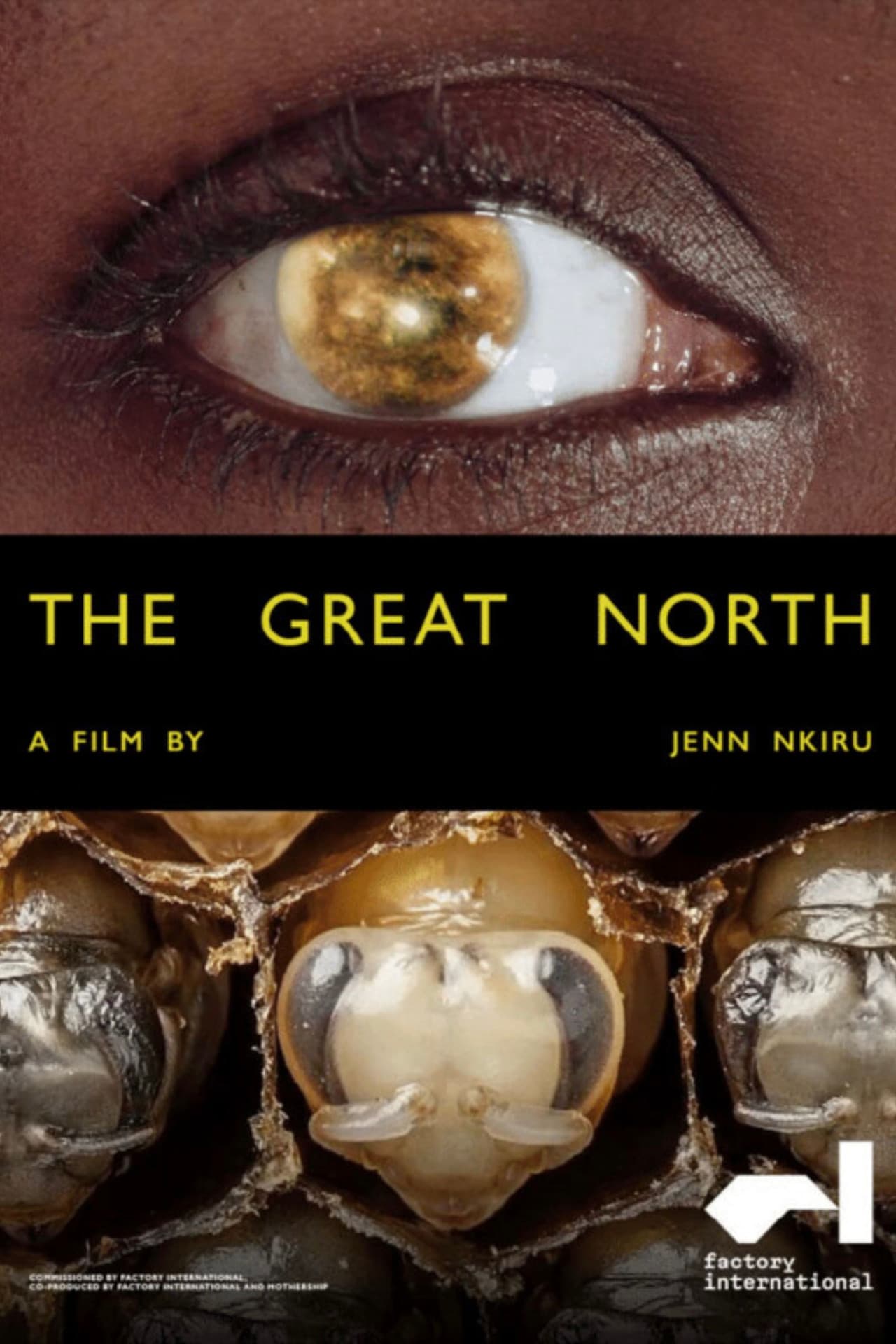 The Great North preview 2