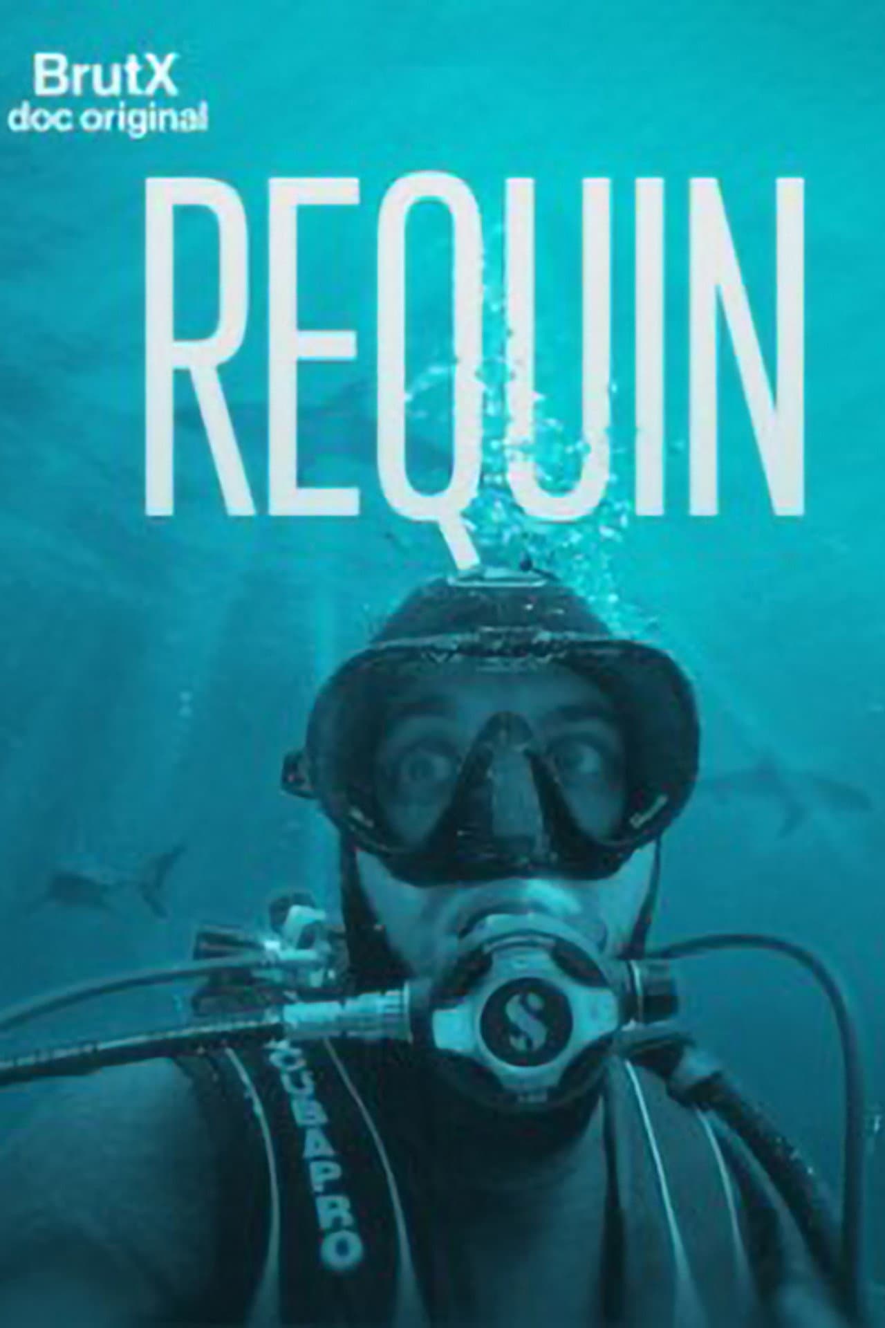 Requin preview 2