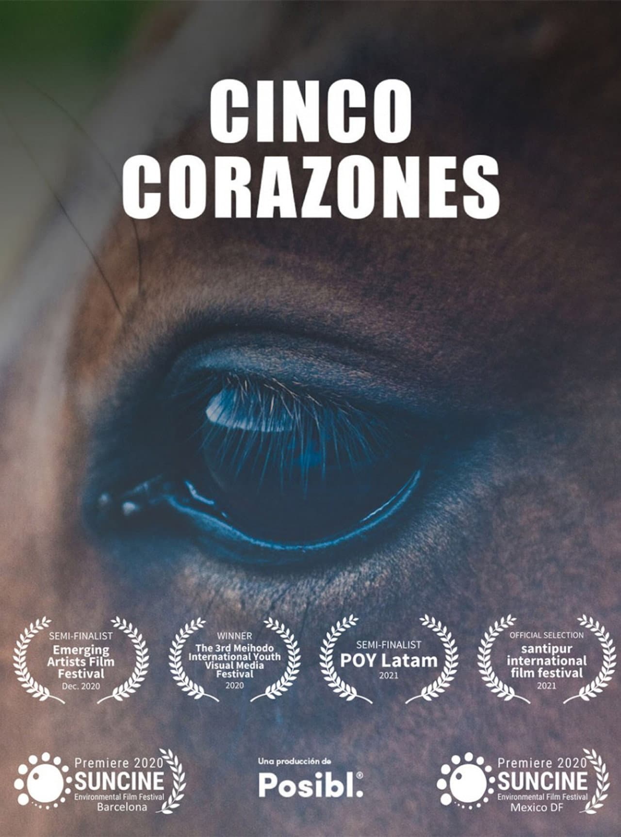 Cinco Corazones preview 1