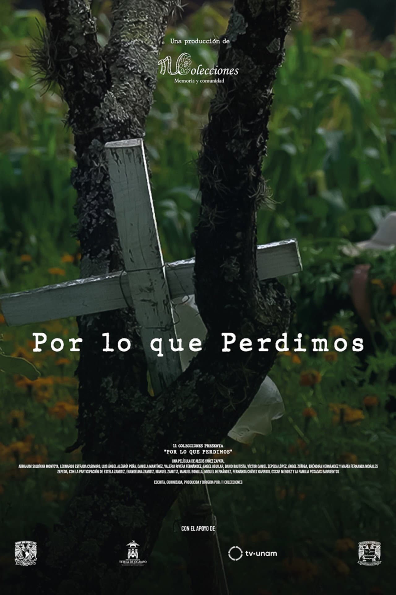 Por lo que Perdimos preview 2