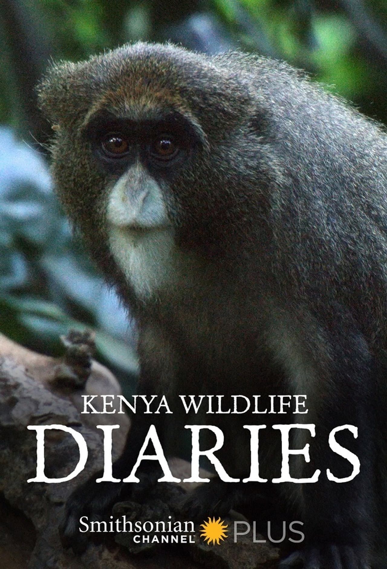 Kenya Wildlife Diaries preview 2