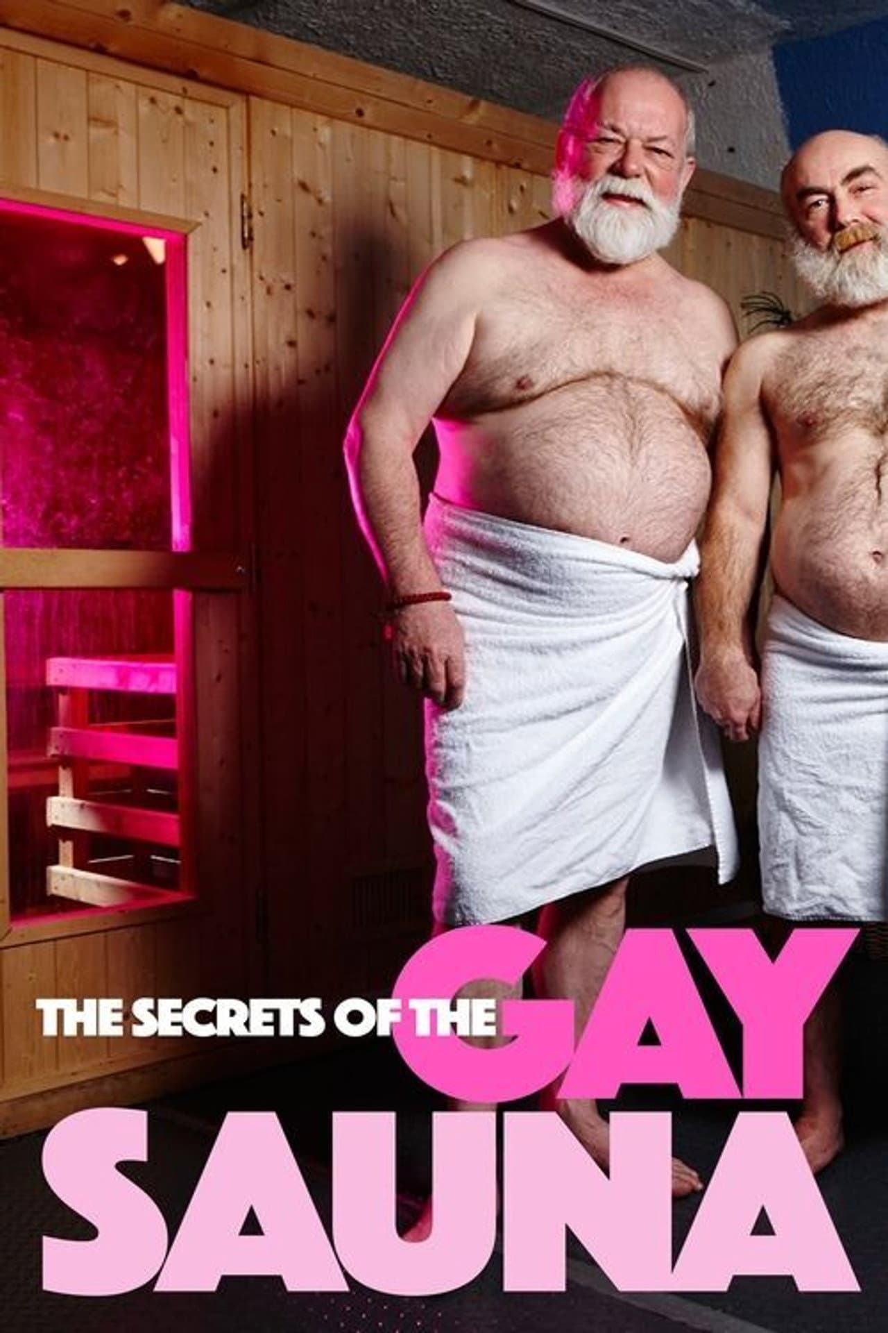 Secrets of the Gay Sauna preview 2
