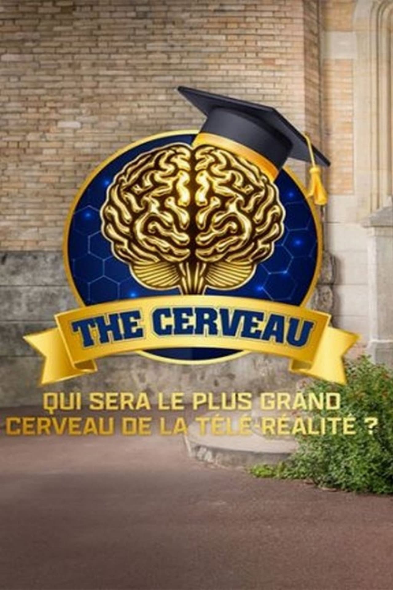 The cerveau : Qui sera le plus grand cerveau de la télé-réalité ? preview 2