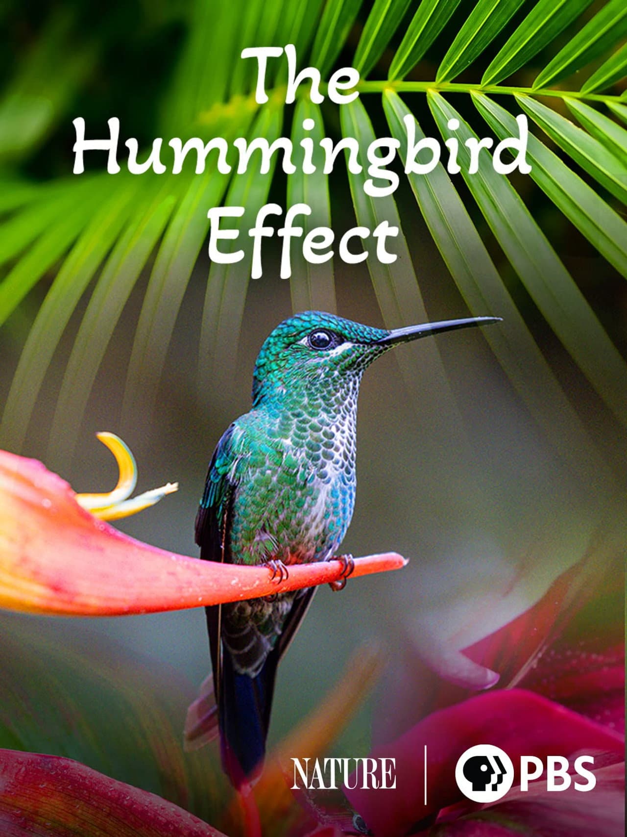 The Hummingbird Effect preview 2