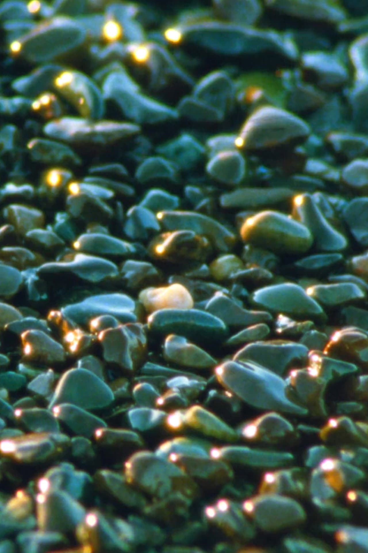Jasper Beach and The Salt Marsh preview 2
