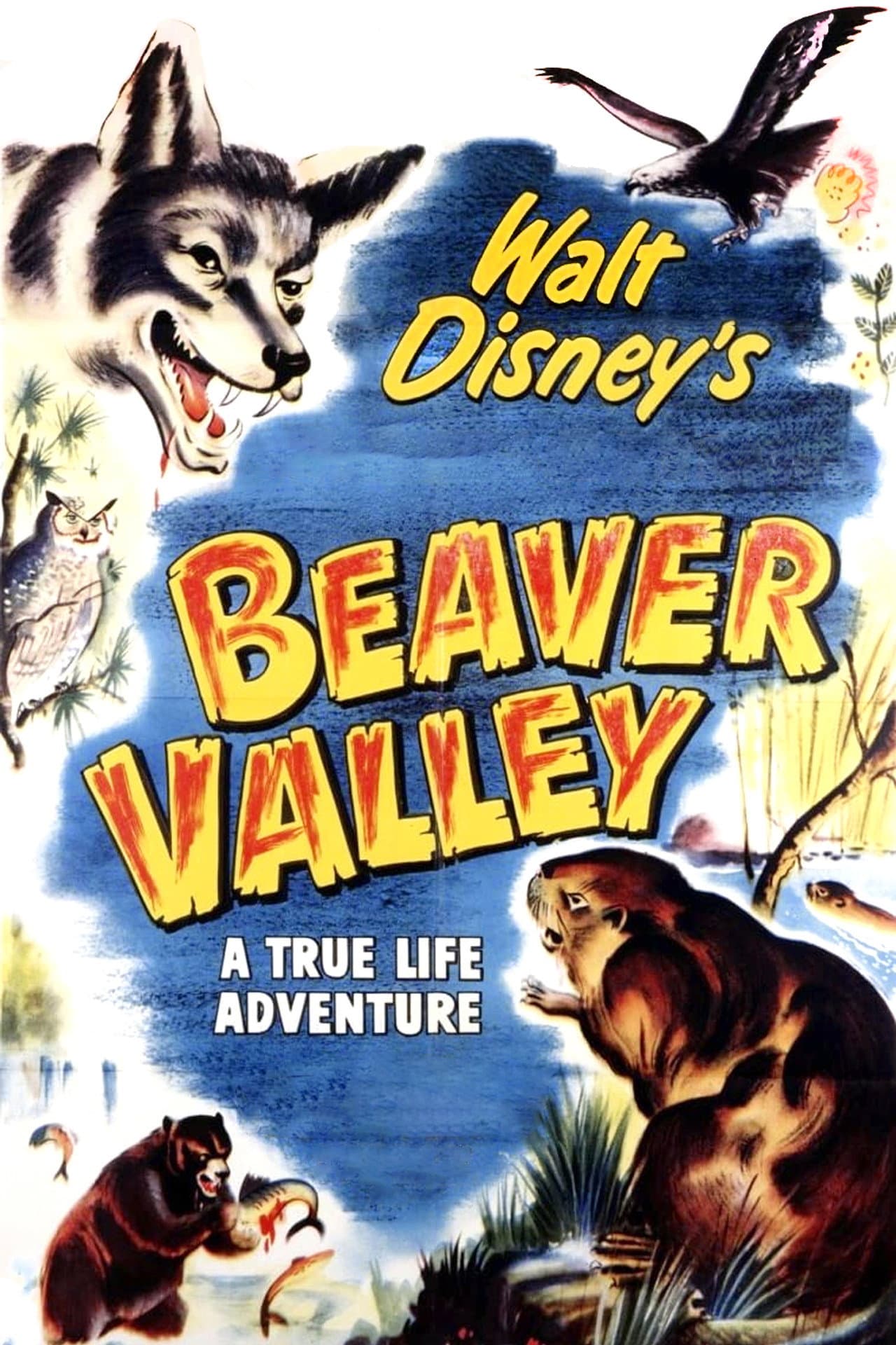 Beaver Valley preview 2