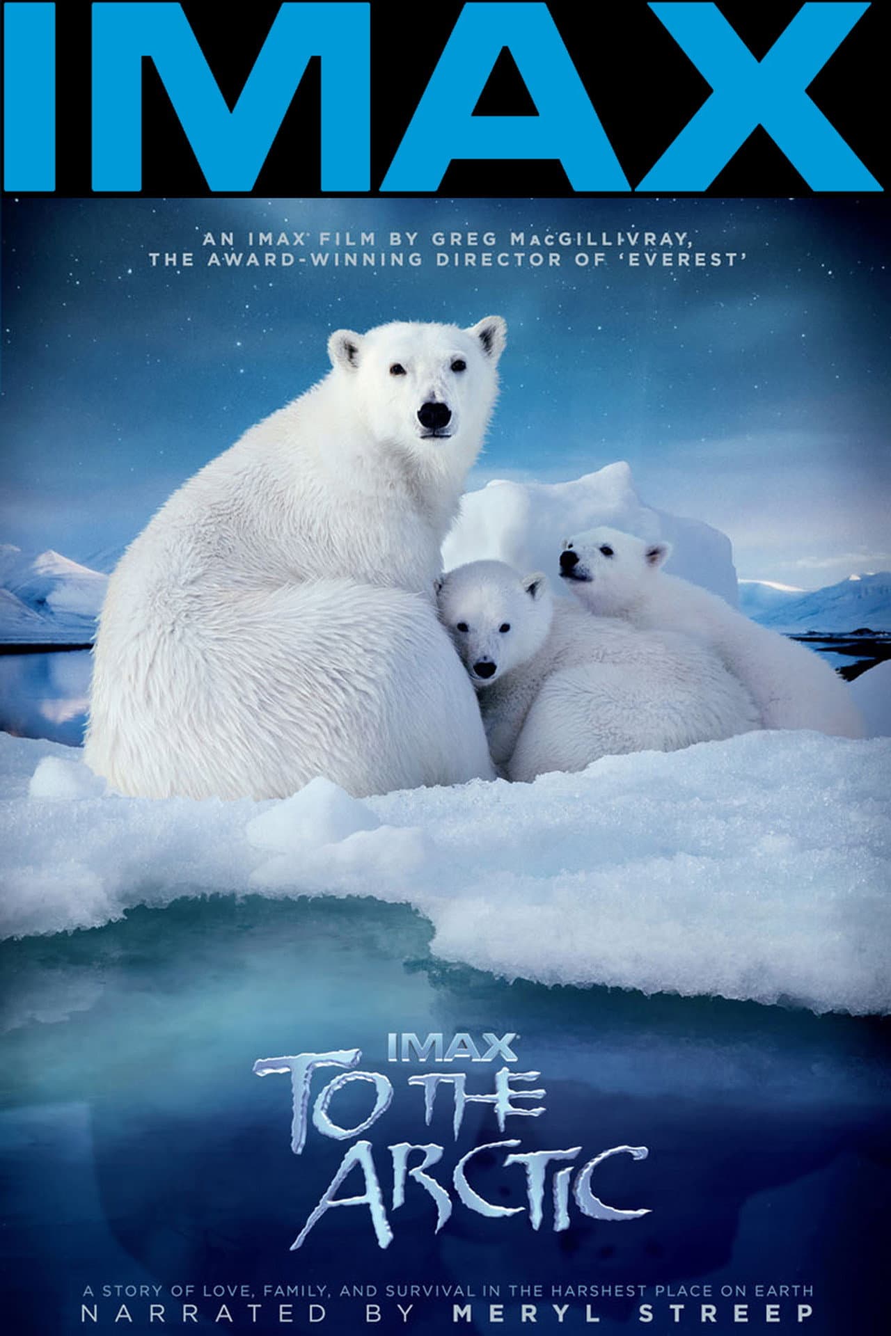 To the Arctic 3D preview 2