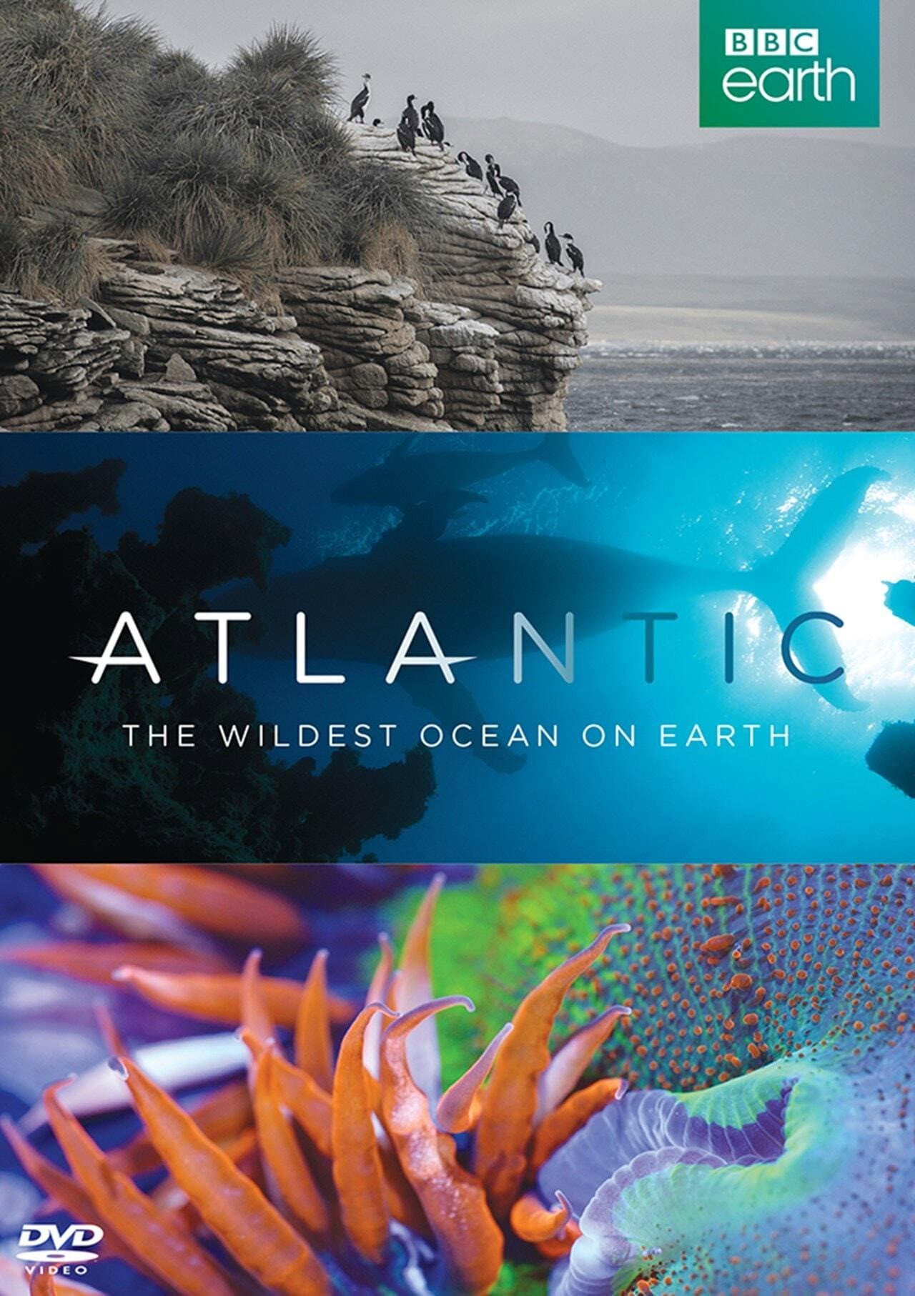 Atlantic: The Wildest Ocean on Earth preview 2