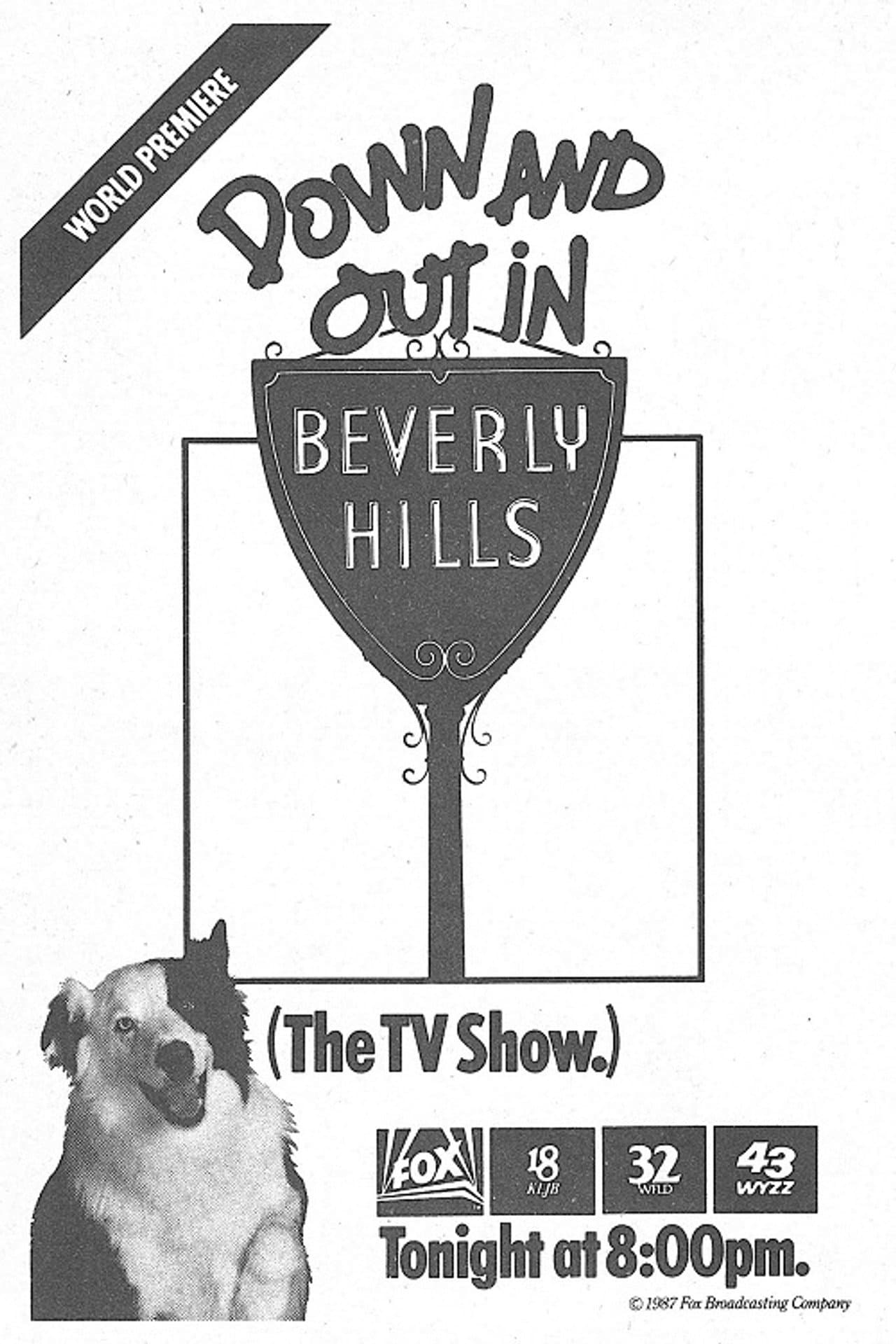 Down and Out in Beverly Hills preview 1